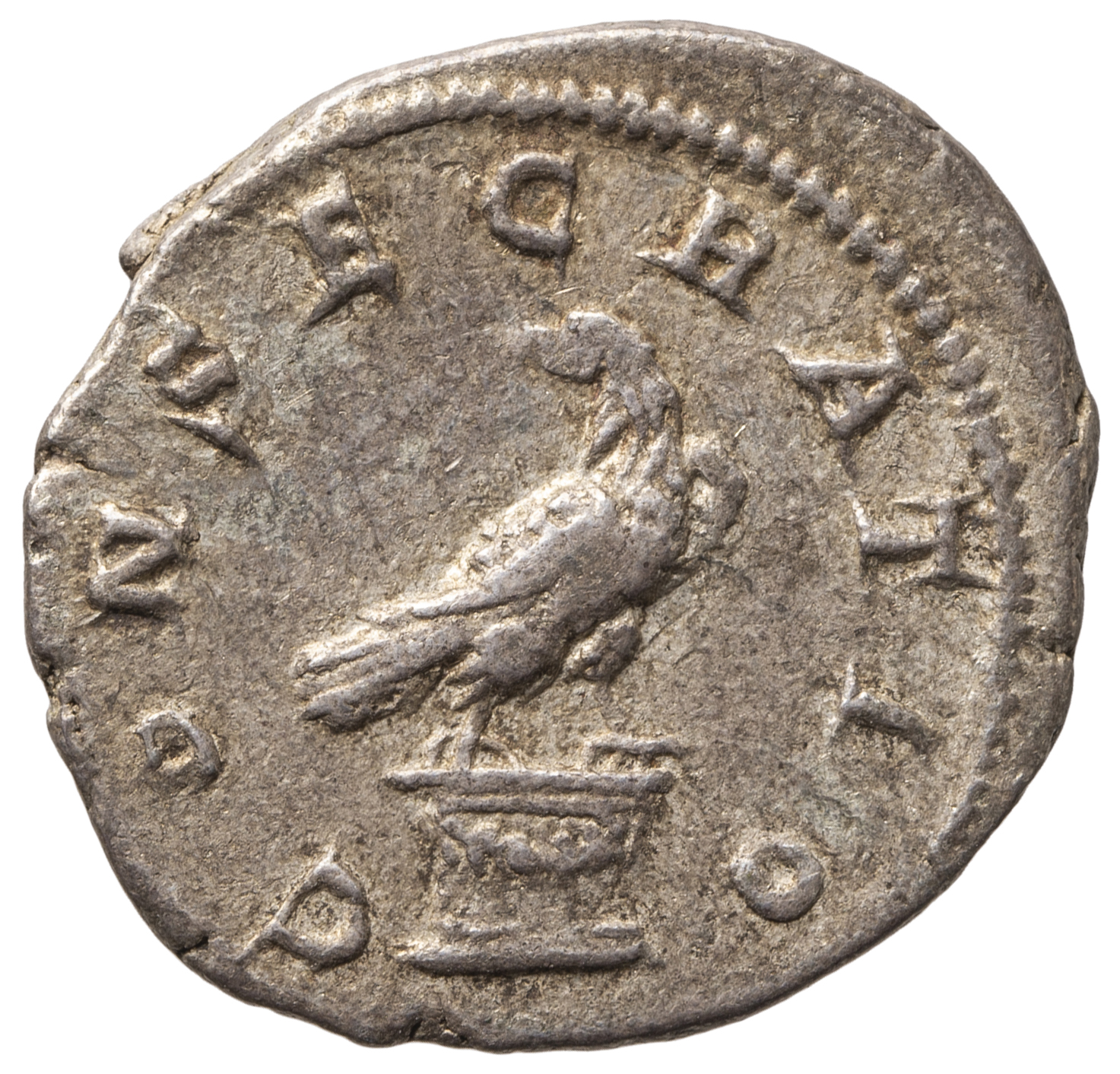 Divus Septimius Severus