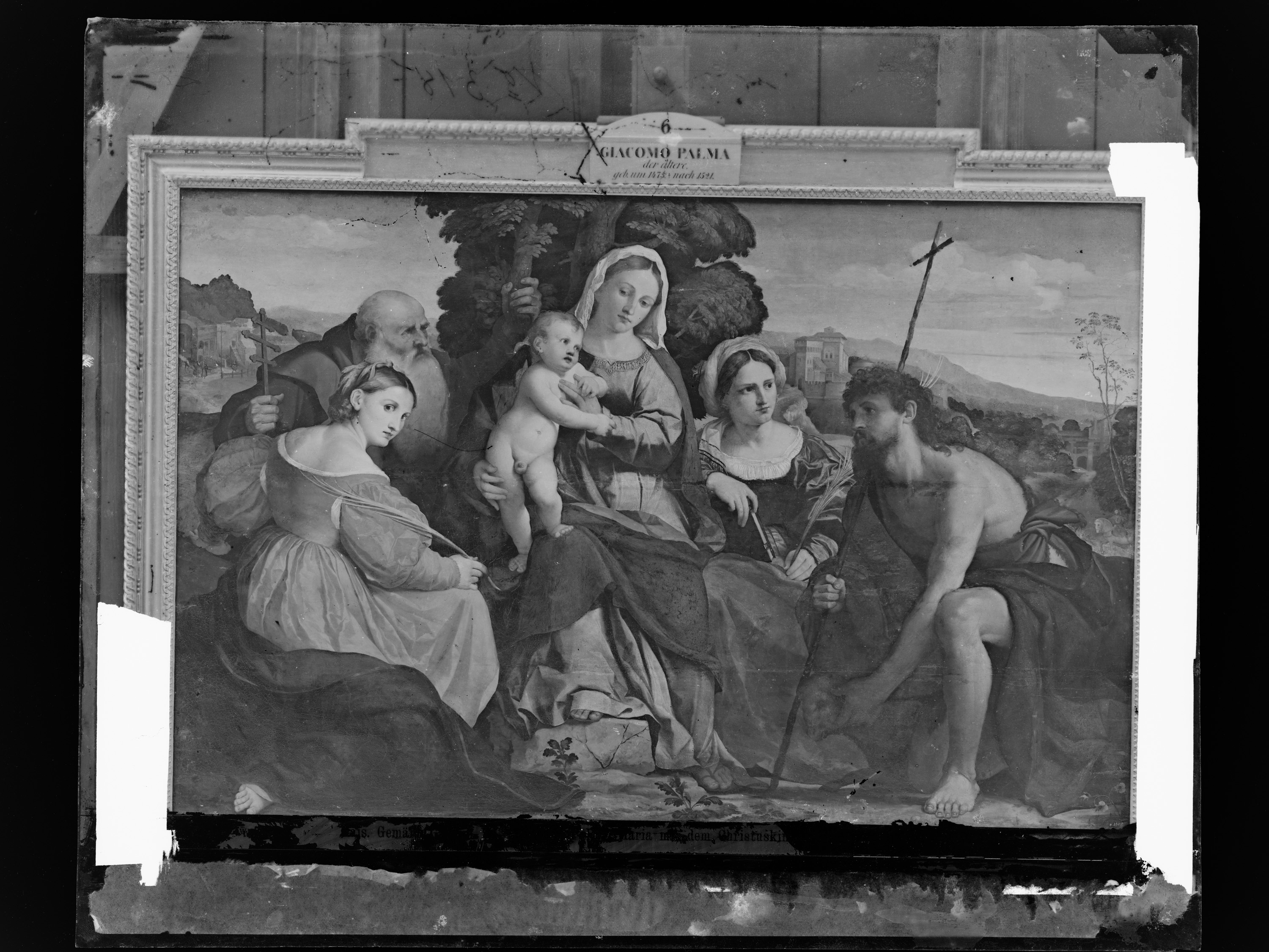 Palma il Vecchio, Maria mit Kind und Heiligen Katharina und Coelestin (links) und Johannes d. Taufer und Barbara (rechts), 1520/1522, Photographie von Josef Löwy, 1888, Maße der Glasplatte 24,1 × 29,2 cm, Kunsthistorisches Museum Wien, Gemäldegalerie, Inv.-Nr. GG 60, Negativplatten-Nr. 1149 II 318.