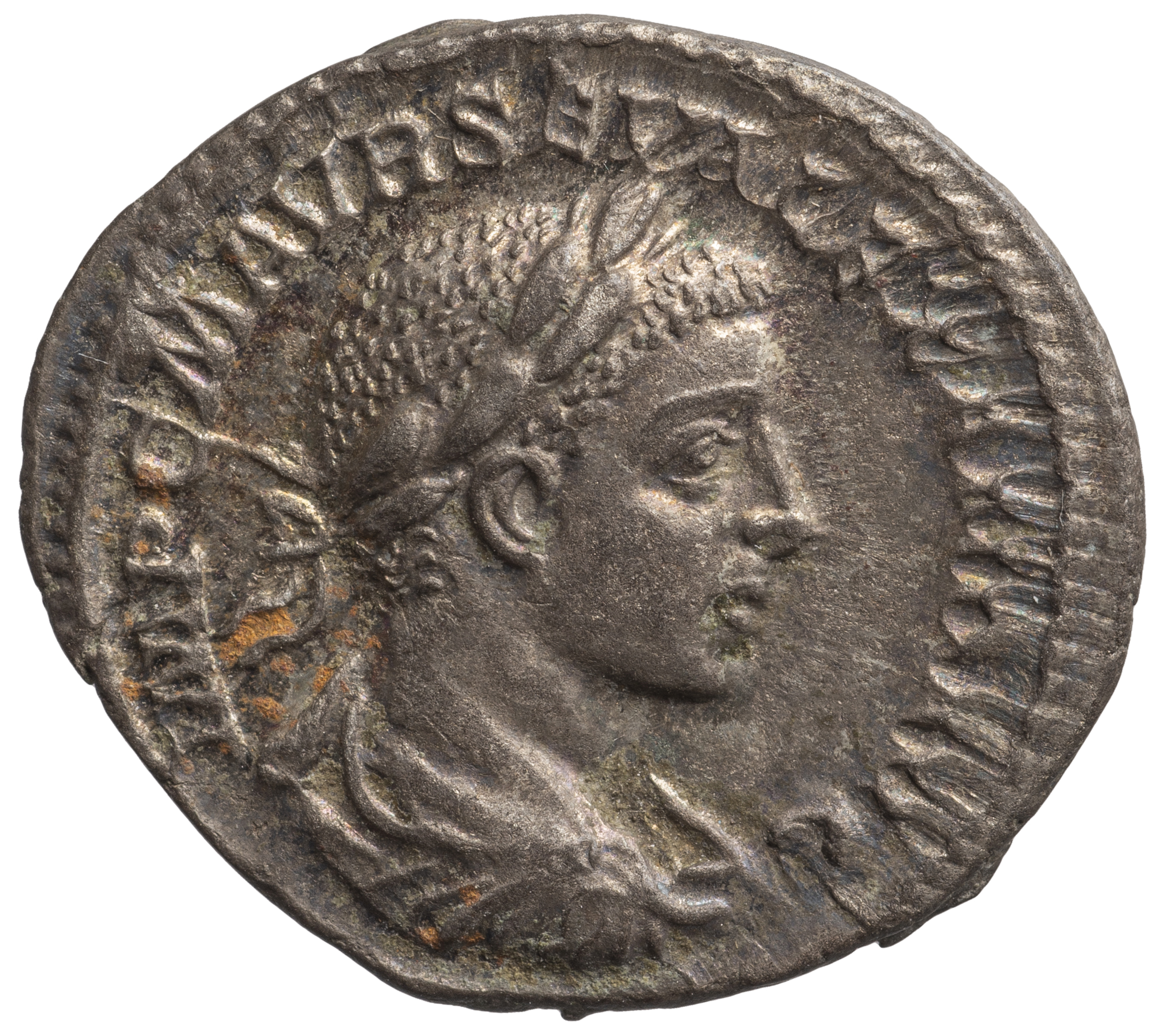 Severus Alexander