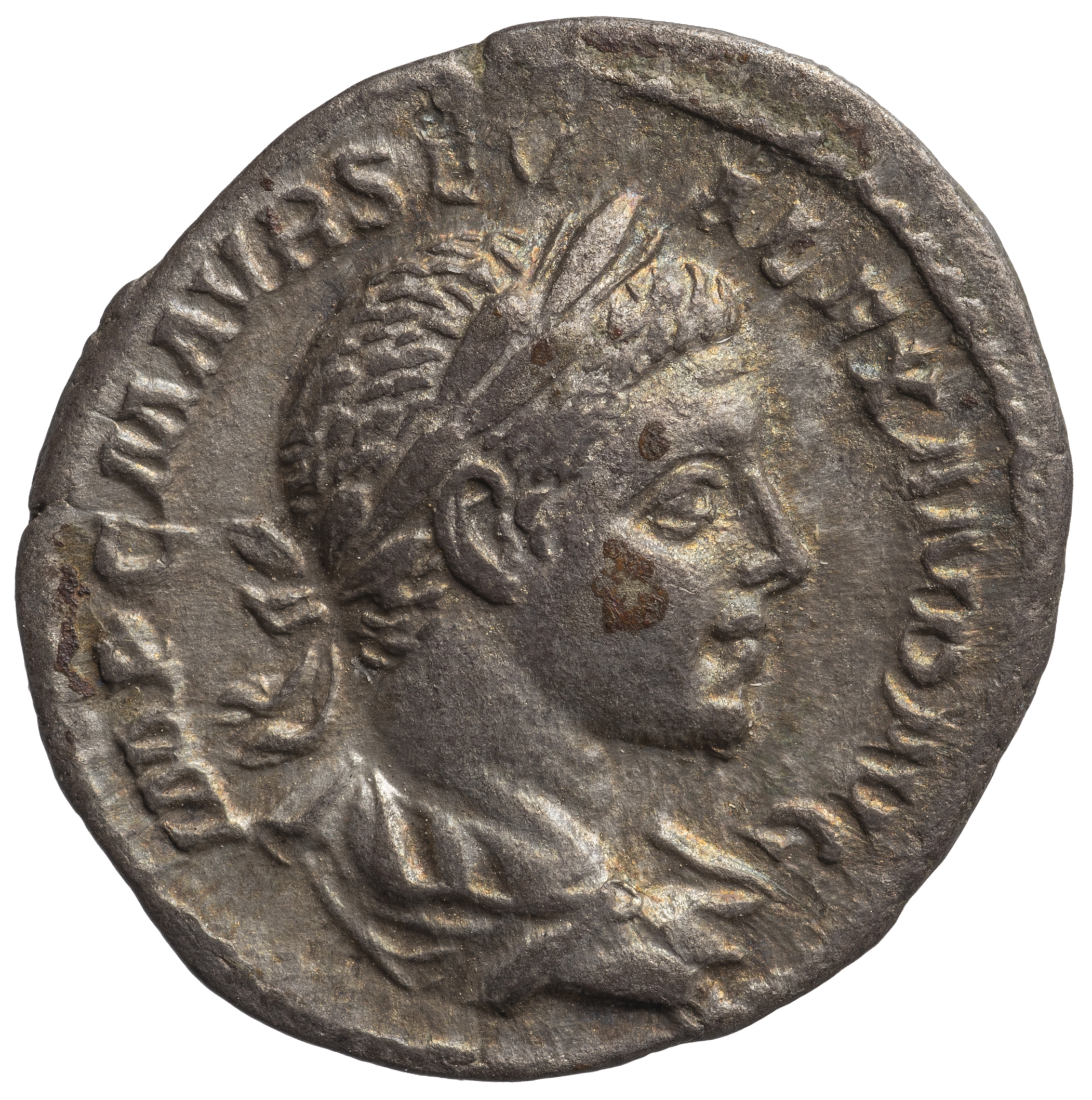 Severus Alexander