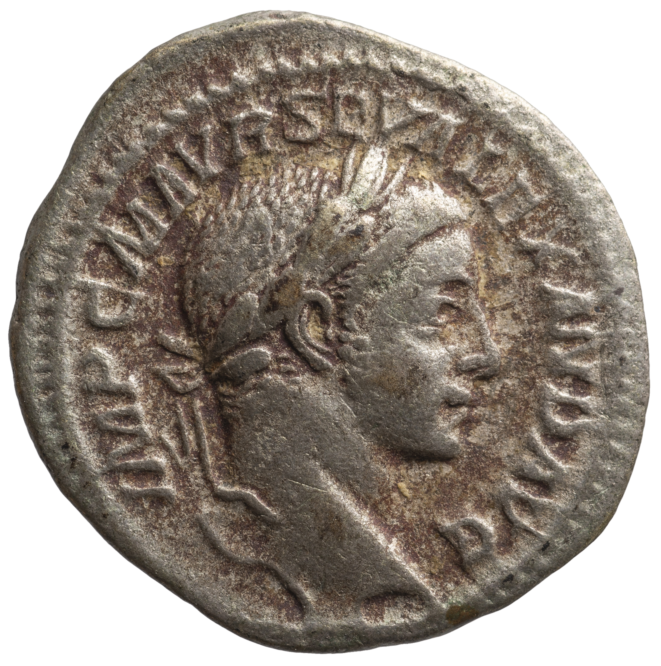 Severus Alexander