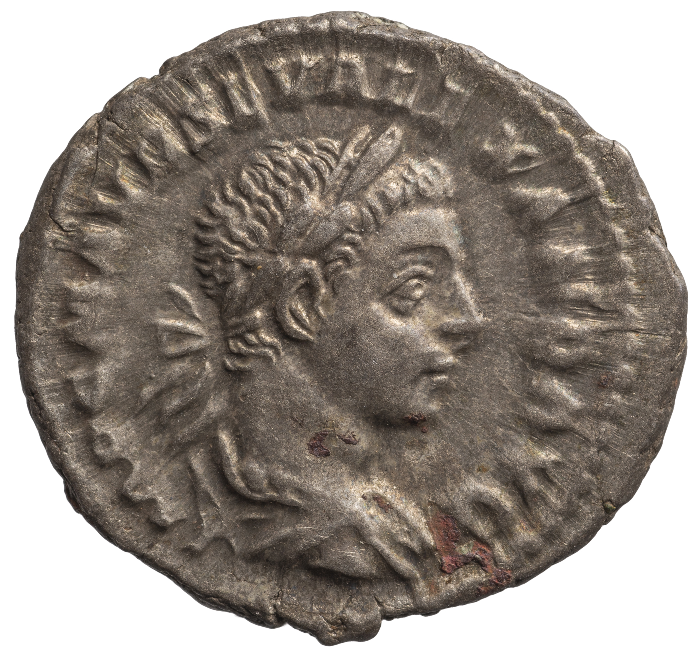 Severus Alexander
