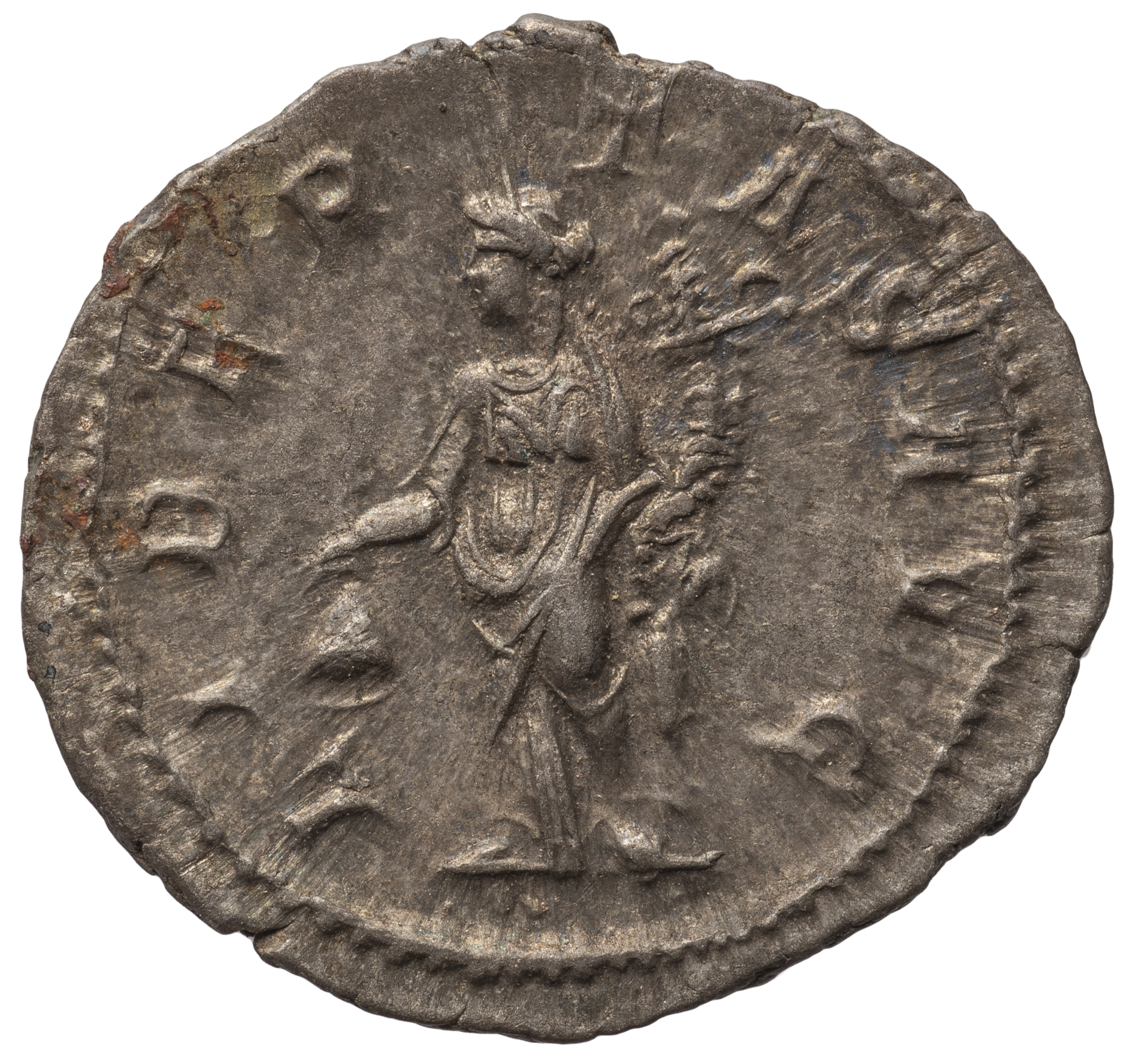 Severus Alexander