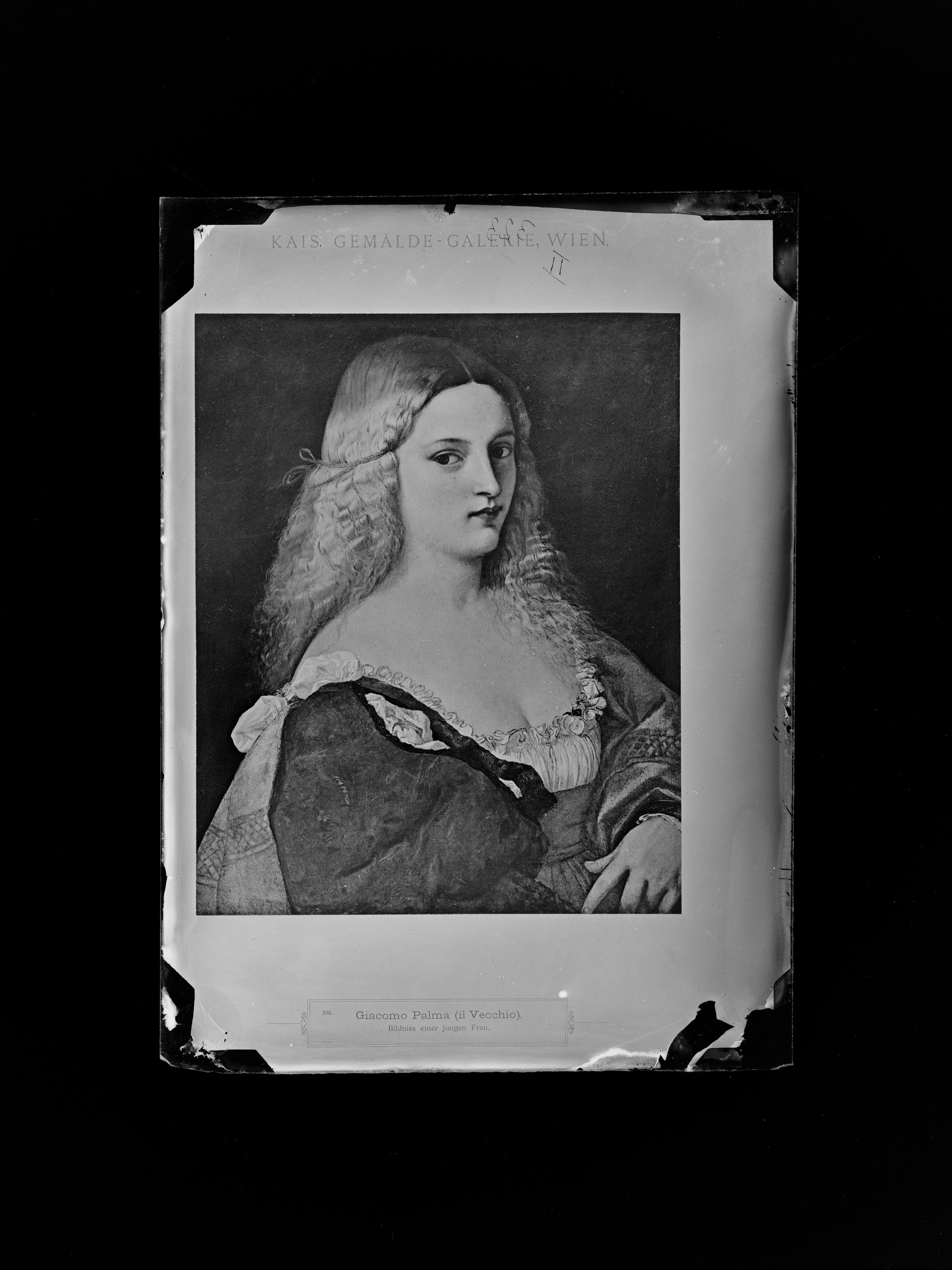 Violante