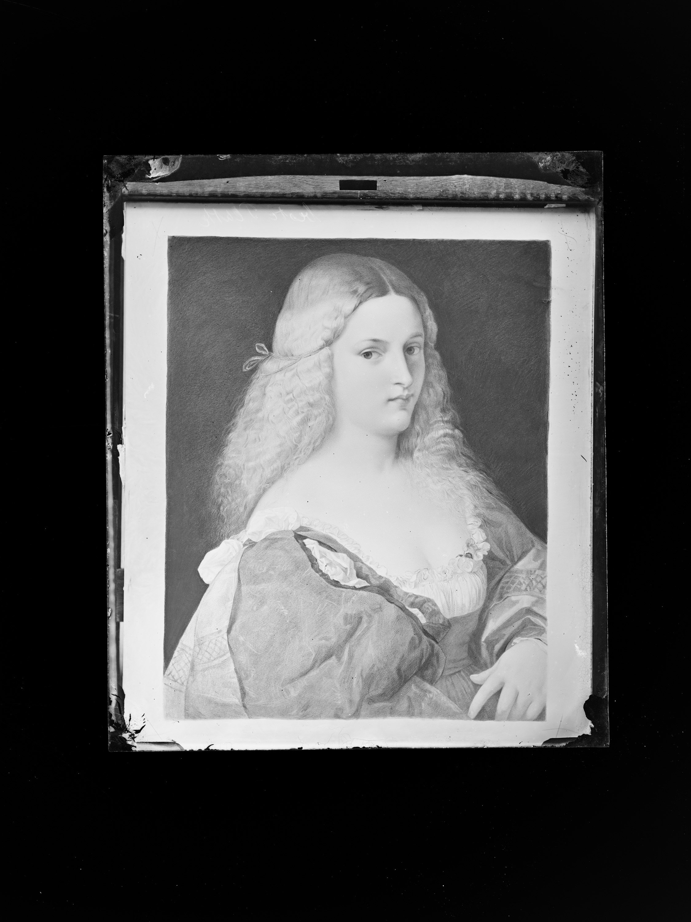 Violante