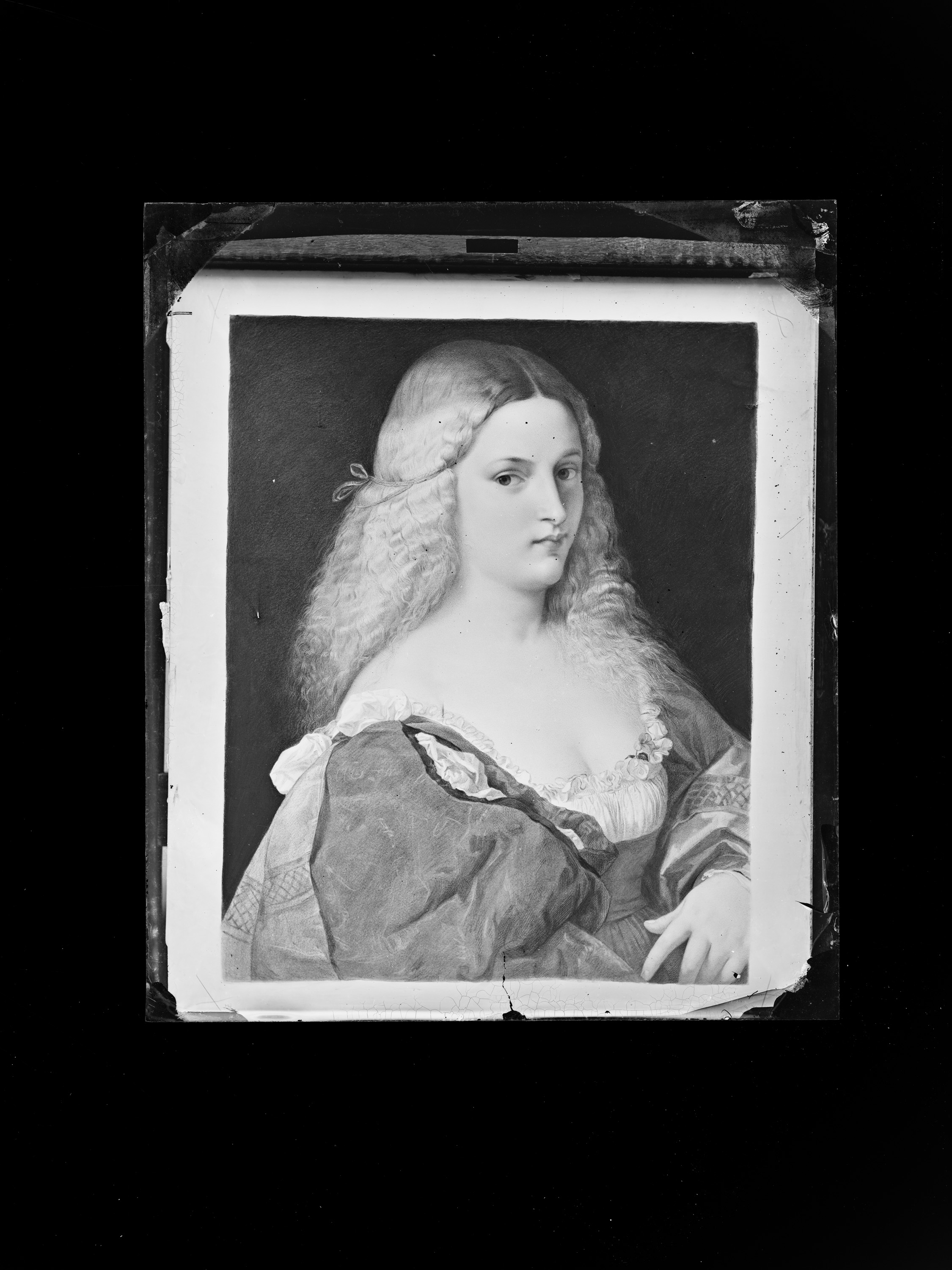 Violante