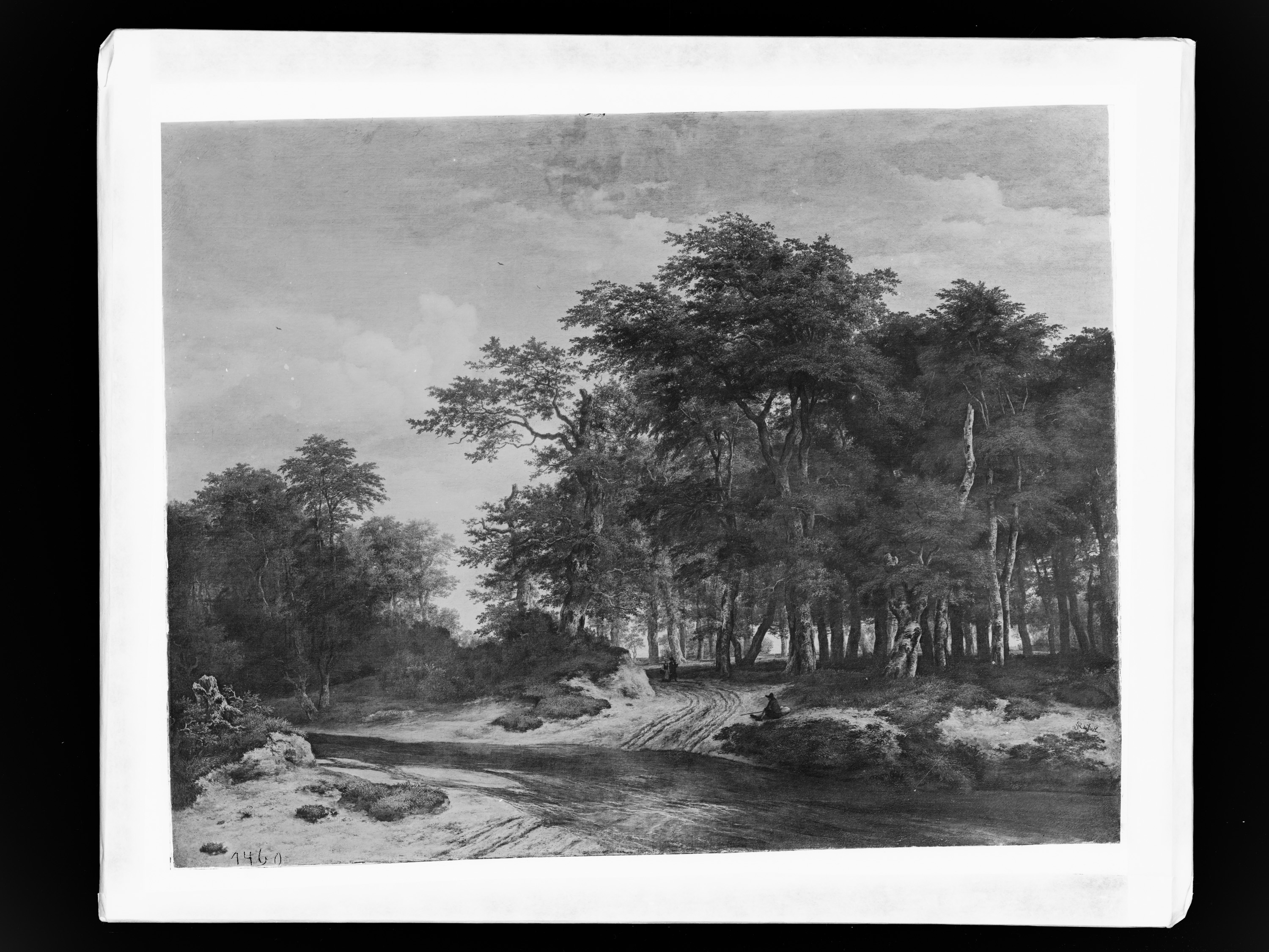 Der große Wald