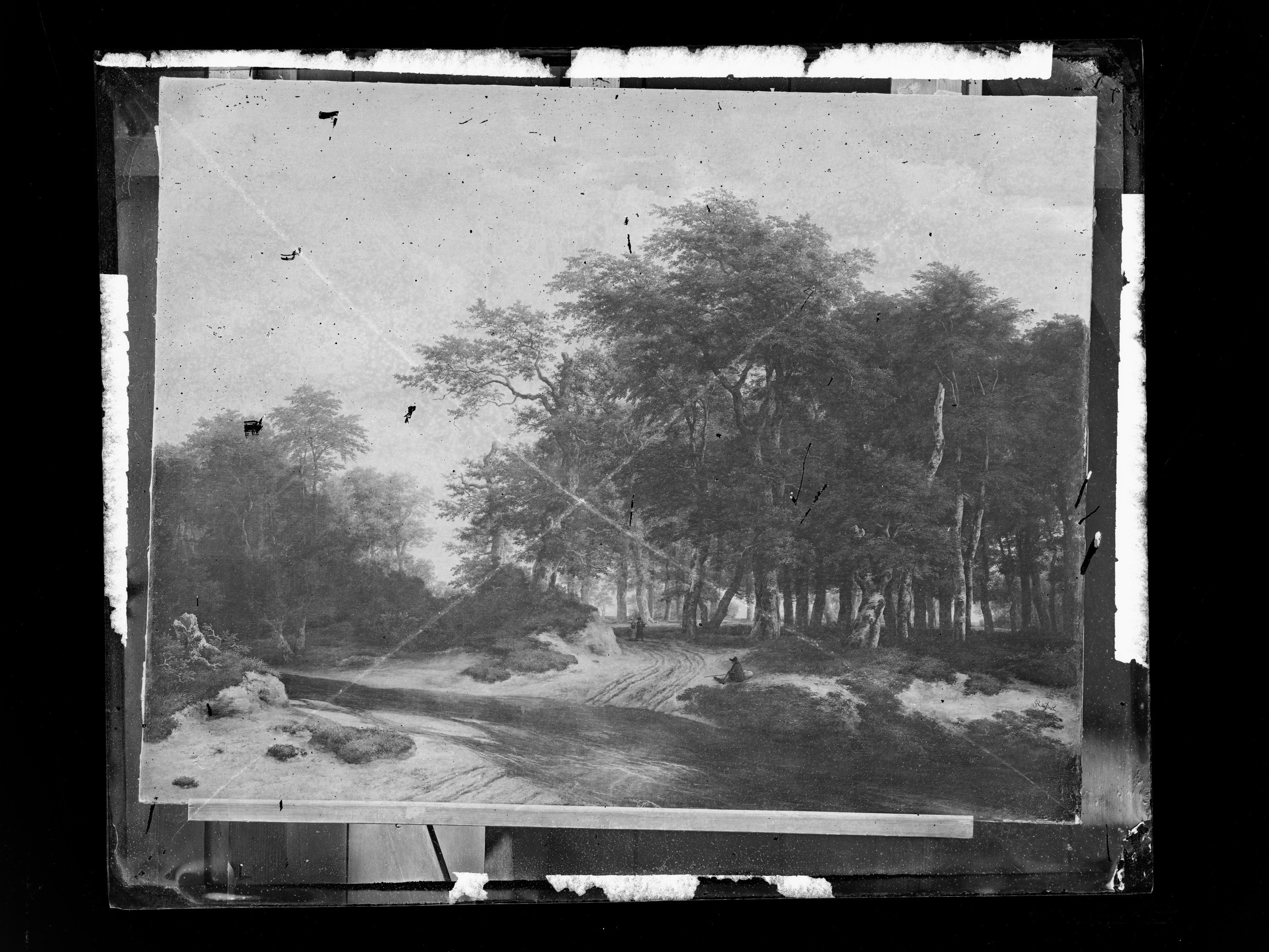 Der große Wald