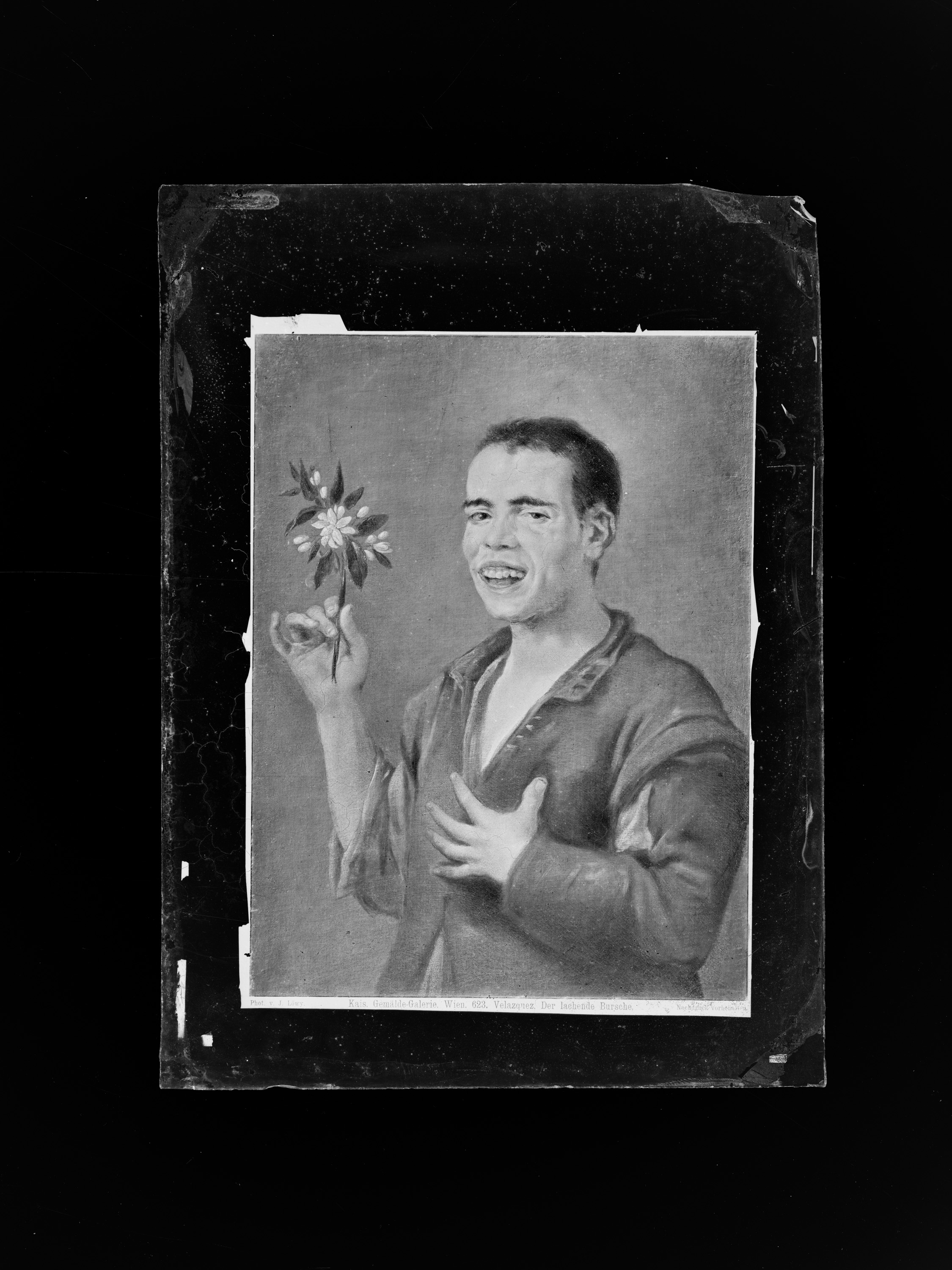 Lachender Bursche mit Orangenblüte