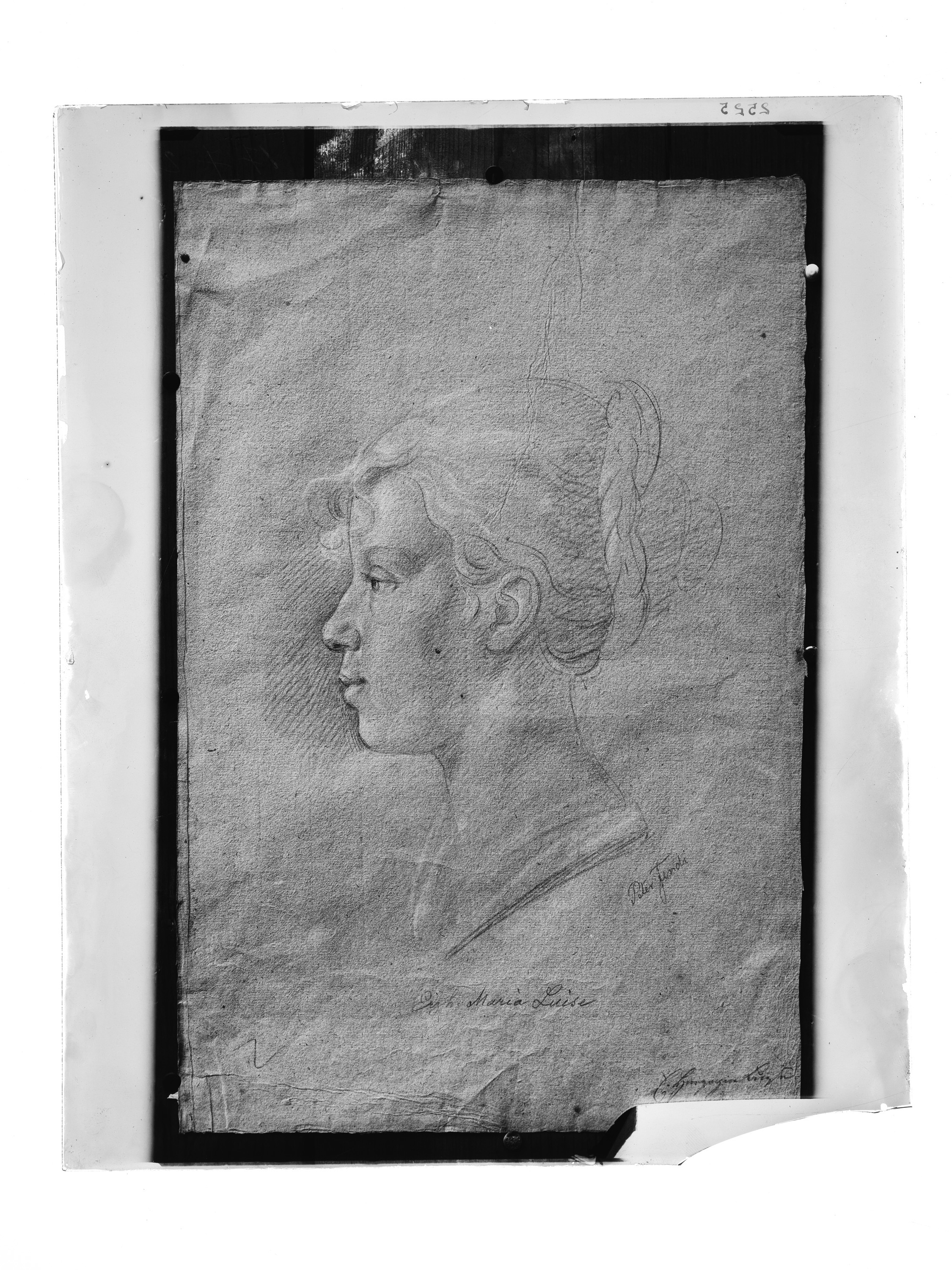 Erzherzogin Marie-Louise