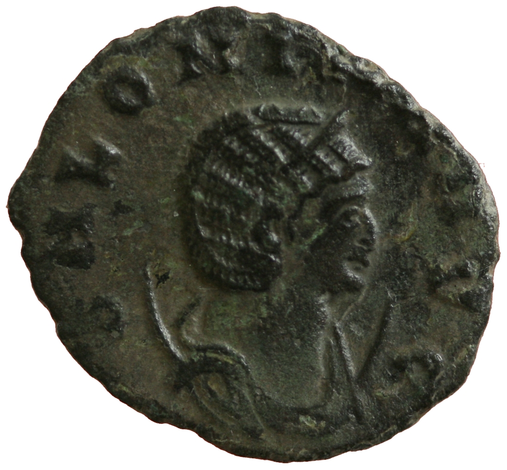 Salonina