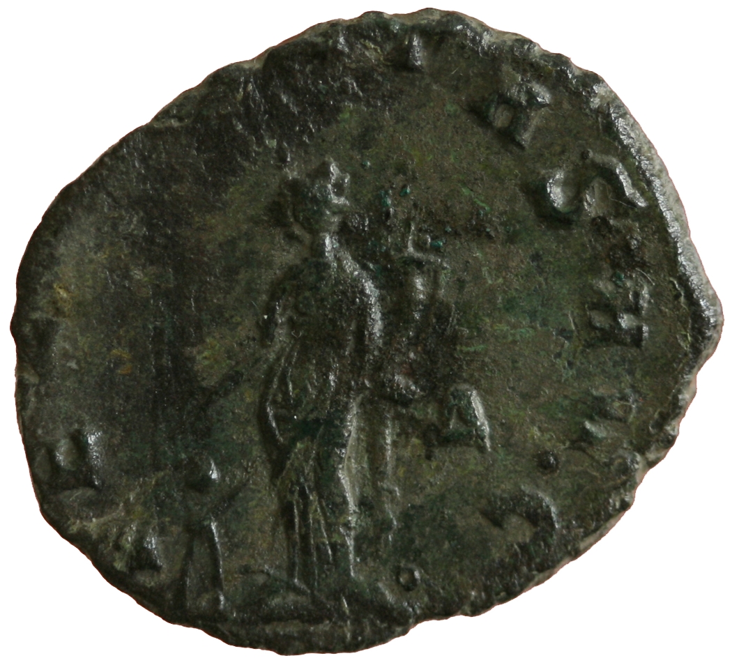 Salonina