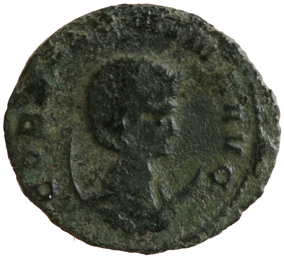 Salonina
