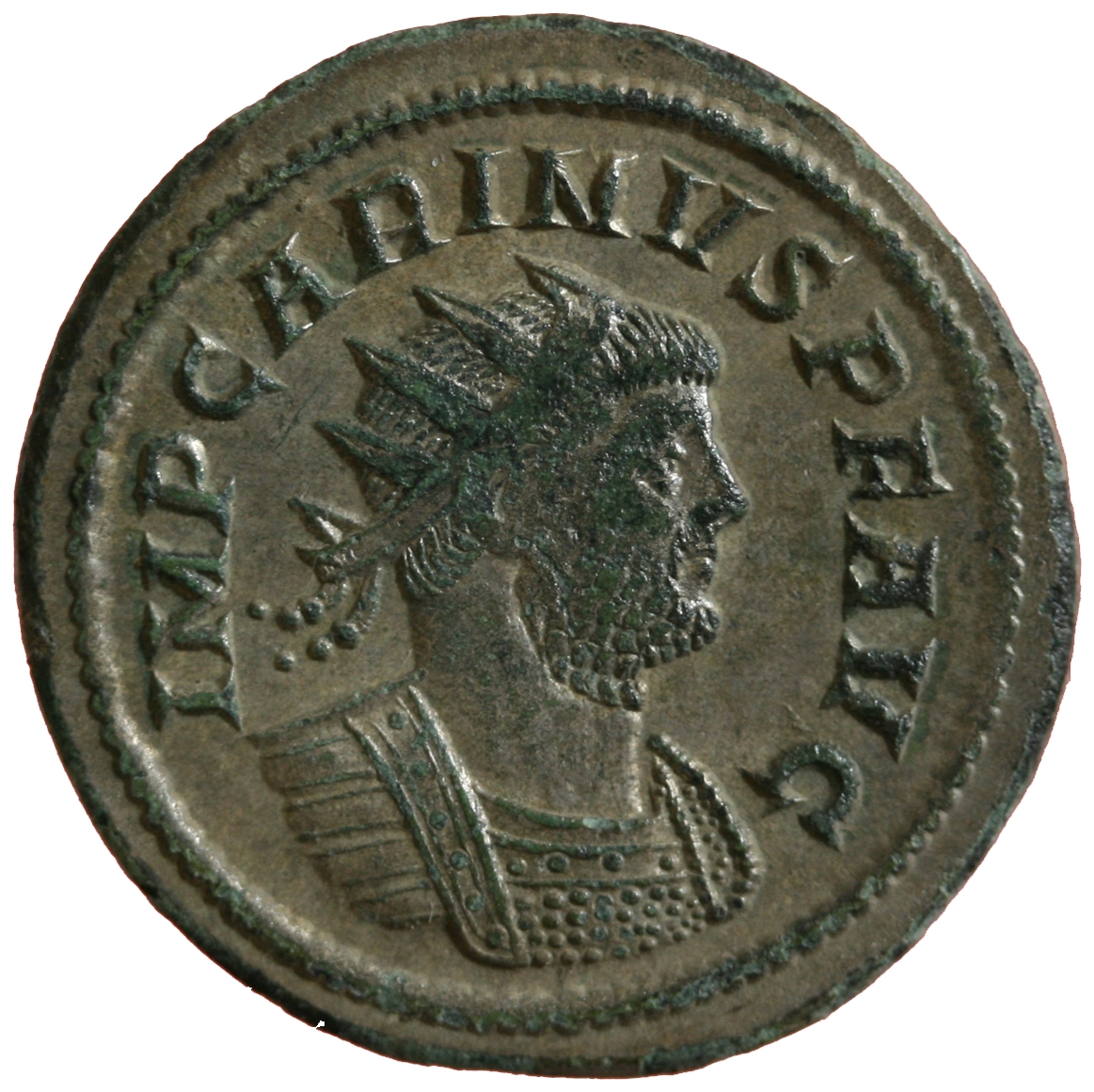 Carinus