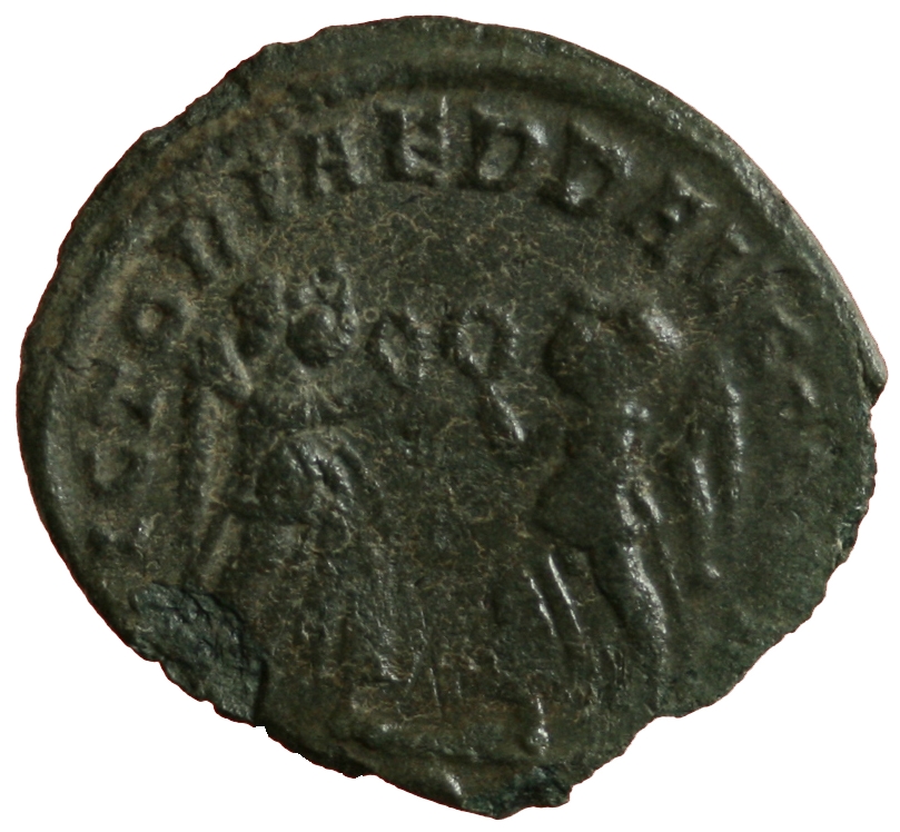 Constans