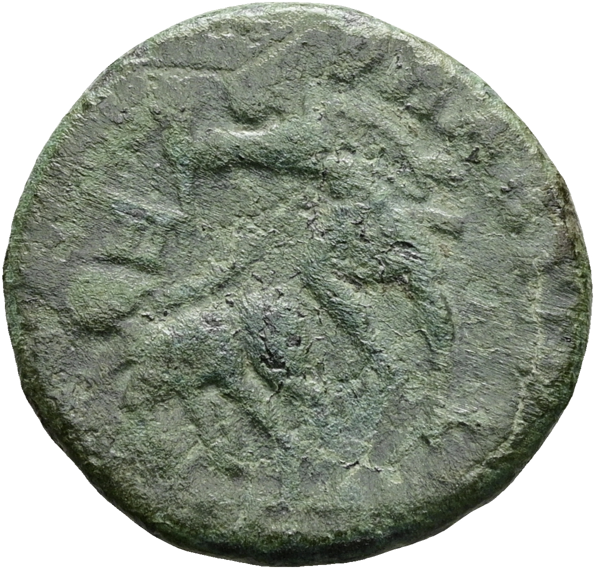Constantius Gallus