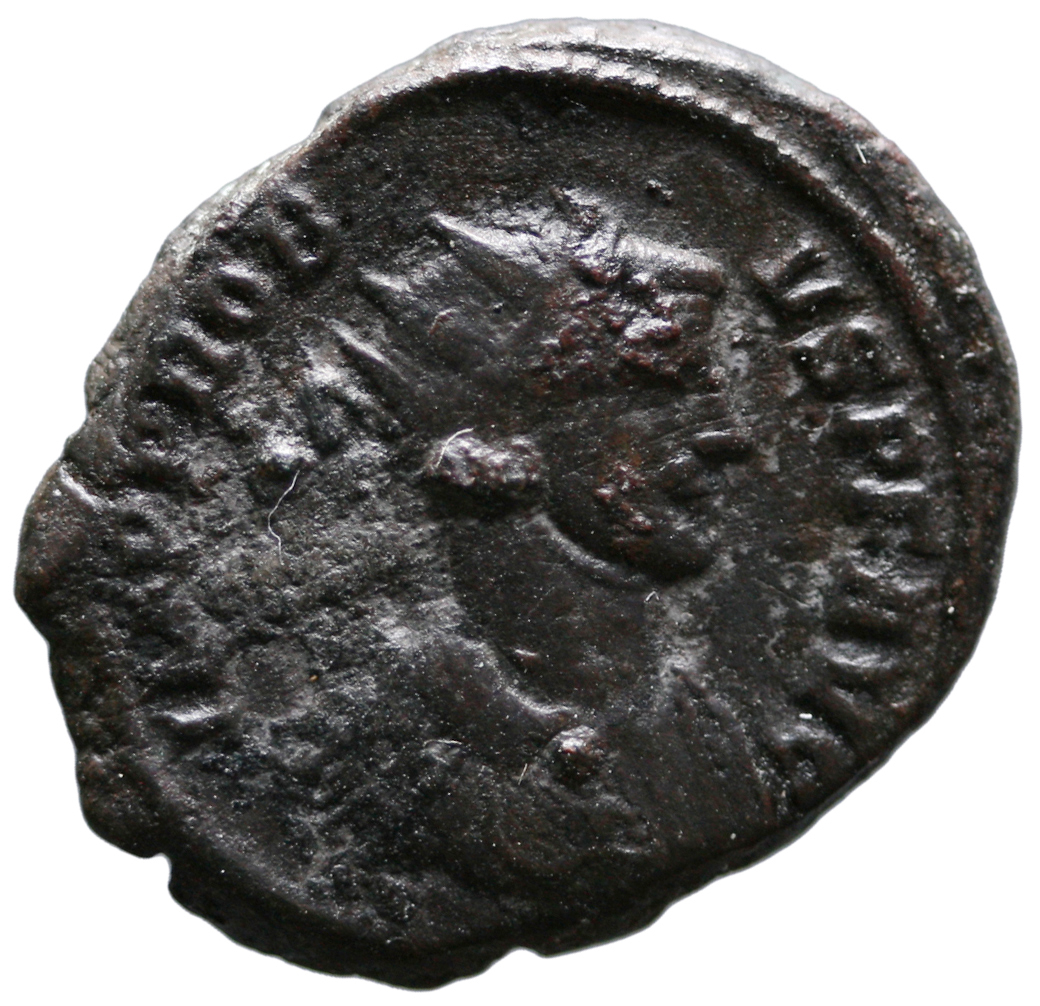 Probus