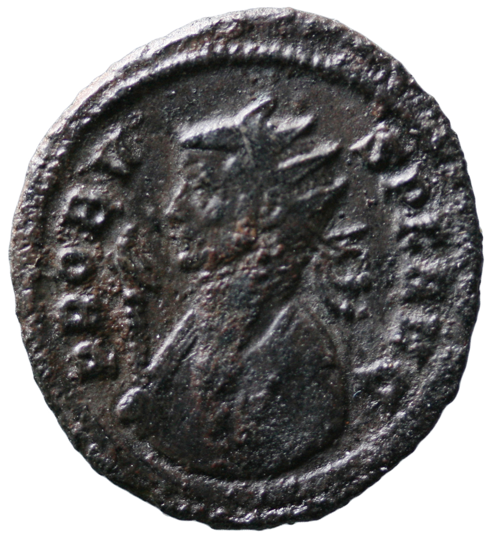 Probus