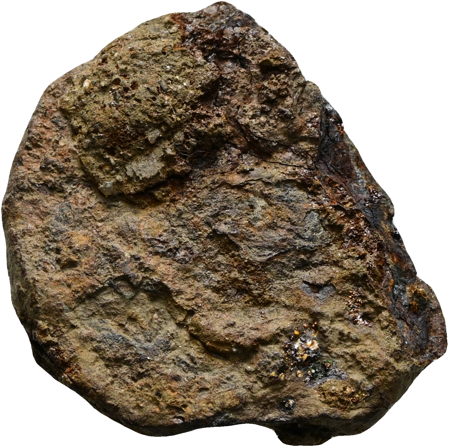 Prinzipatszeit (Falsum)