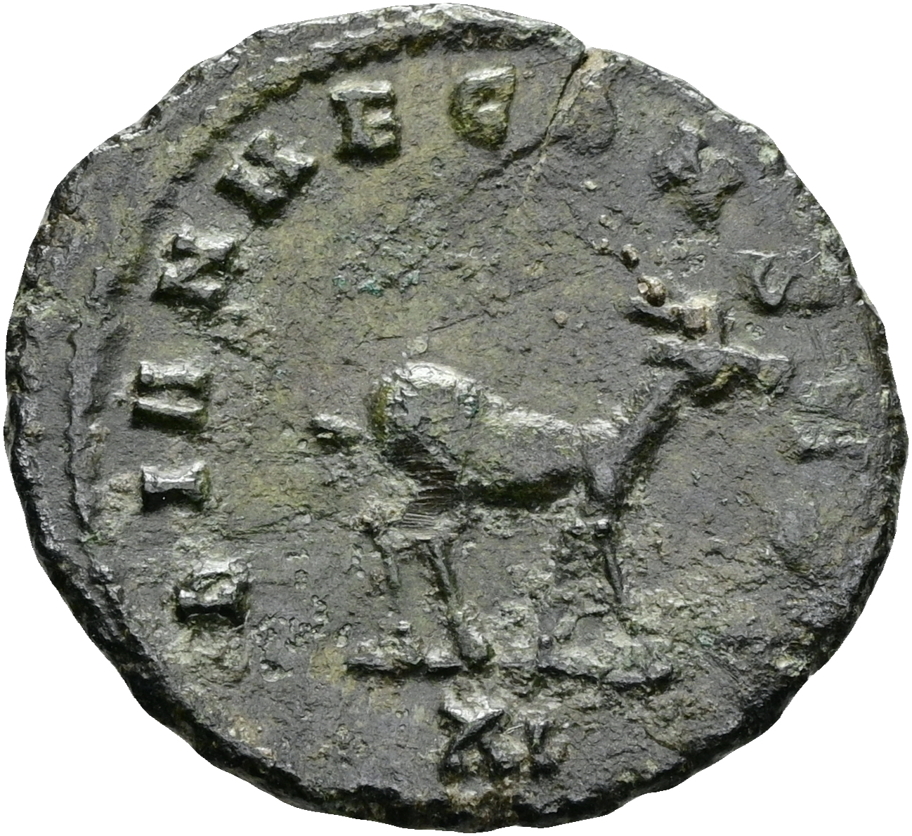 Münze