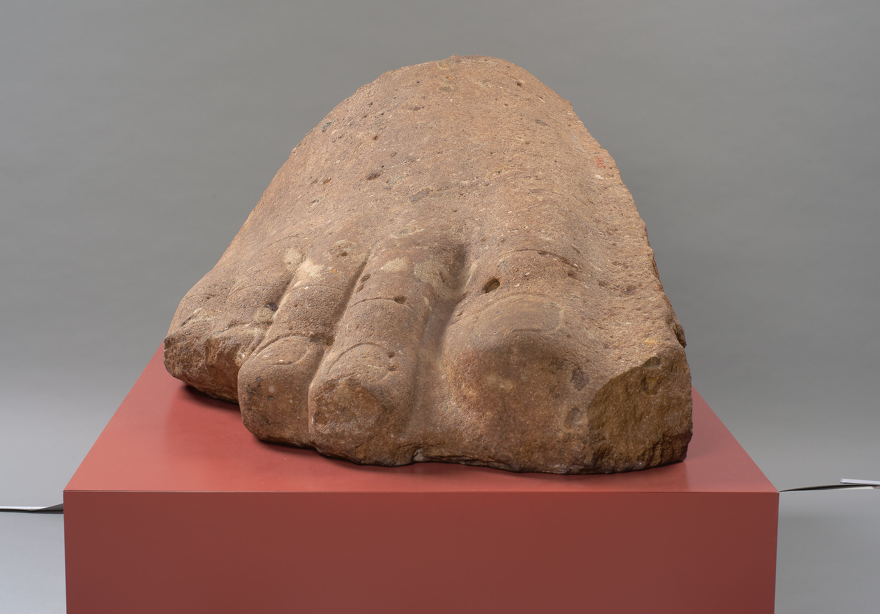Rechter Vorderfuß einer Kolossalstatue
