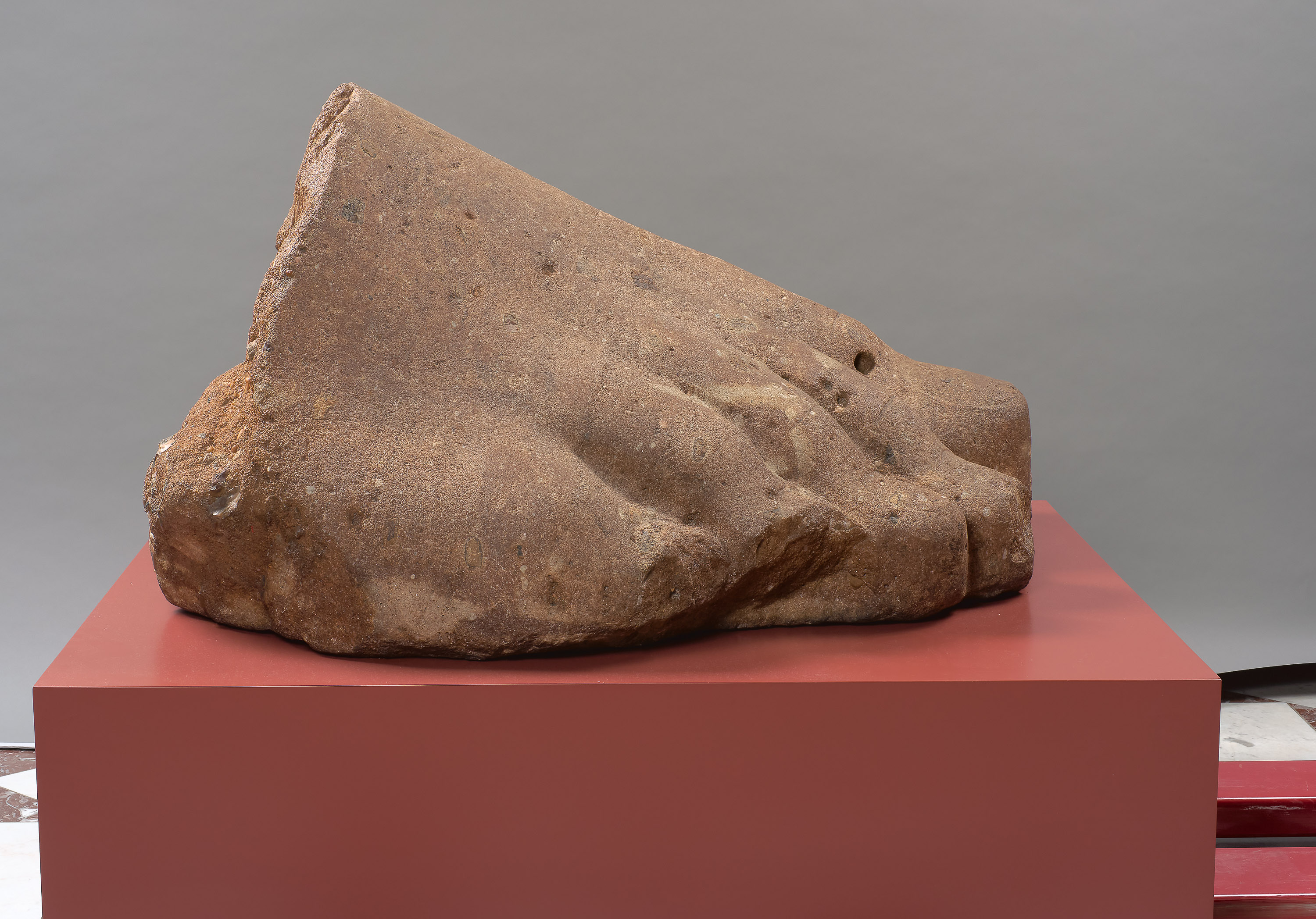 Rechter Vorderfuß einer Kolossalstatue