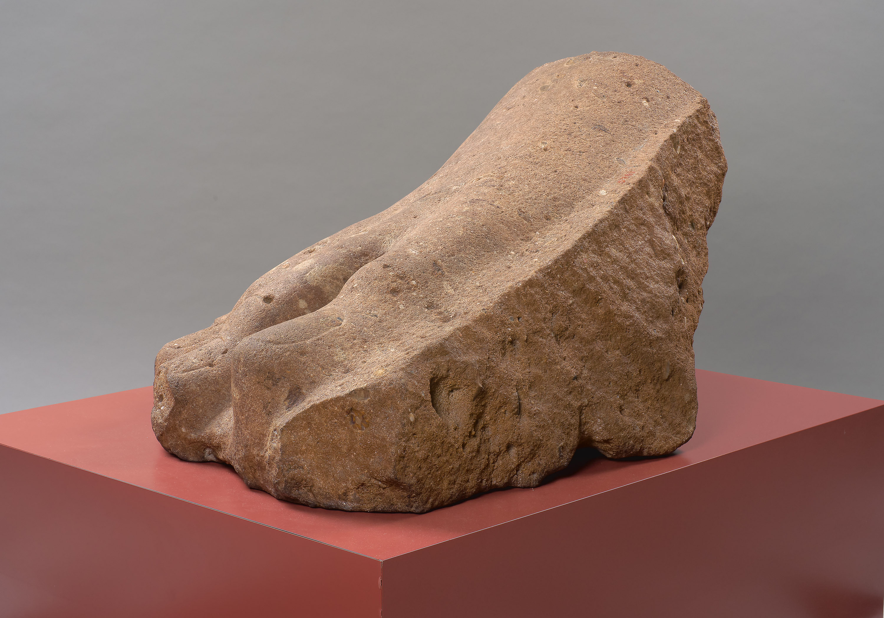 Rechter Vorderfuß einer Kolossalstatue