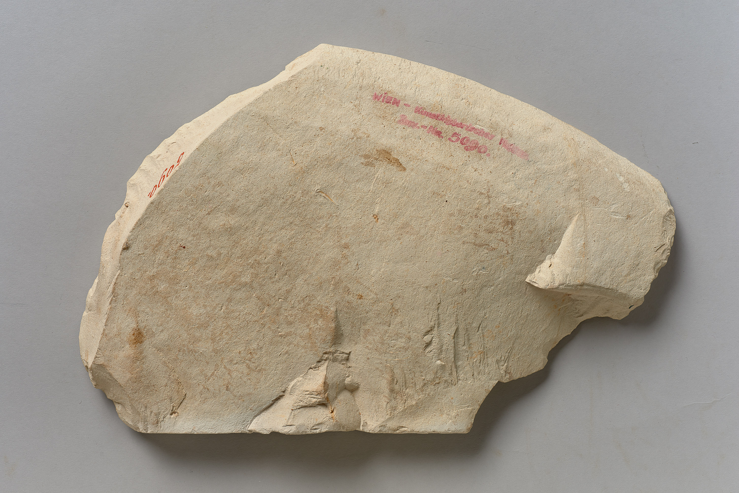 Reliefbruchstück mit dem Namen König Mentuhoteps