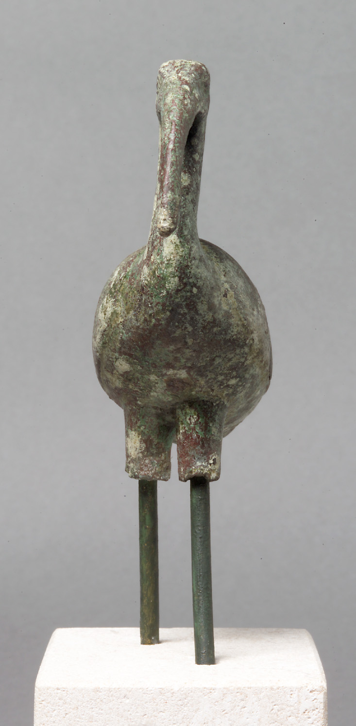 Schreitender Ibis