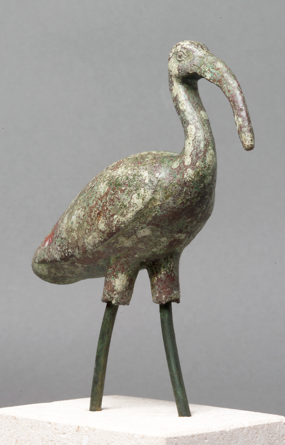Schreitender Ibis
