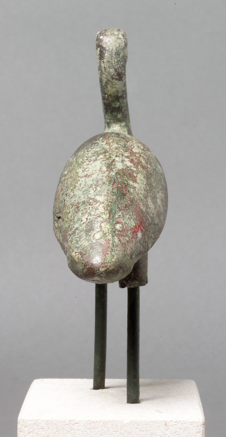 Schreitender Ibis