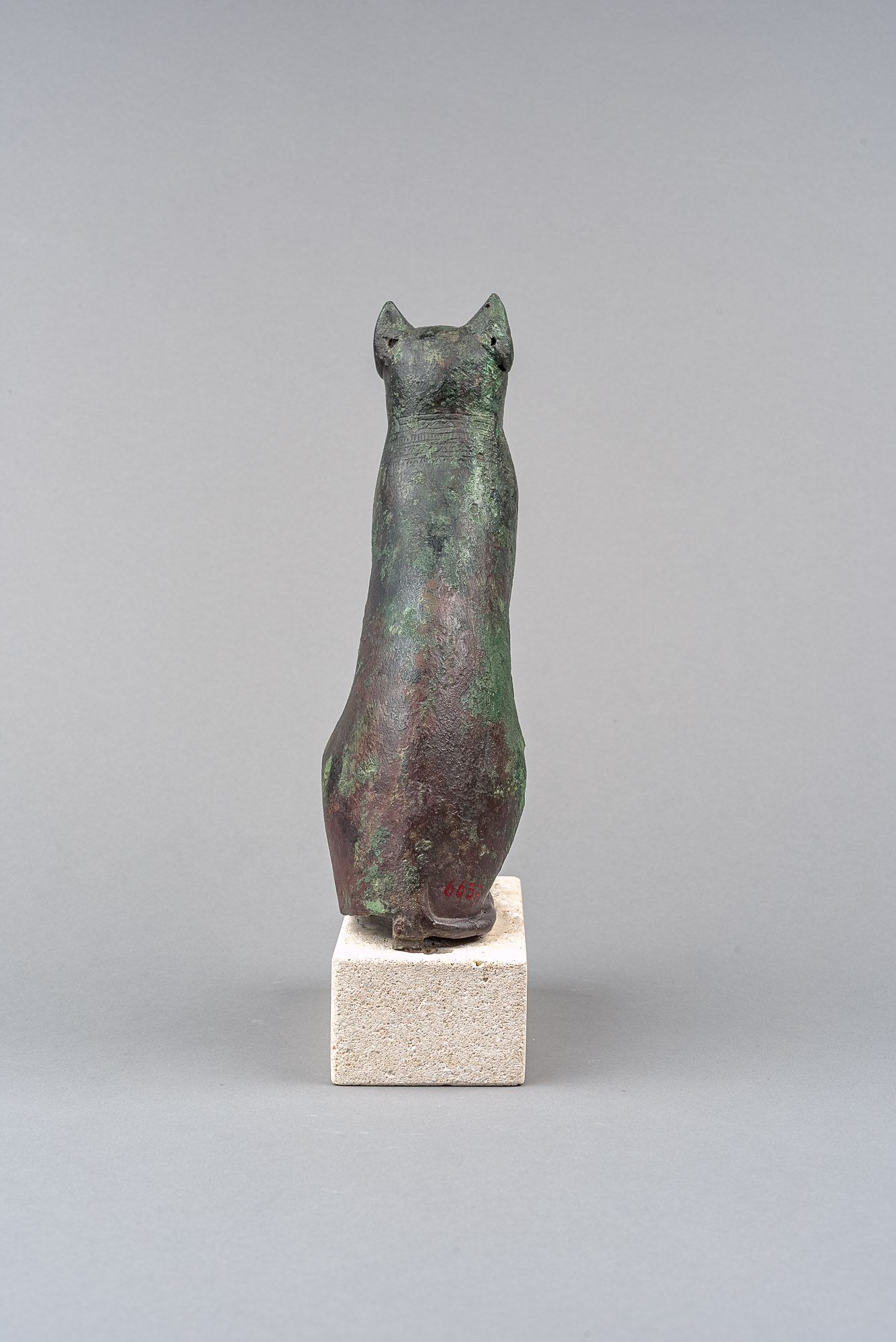 Sitzende Katze