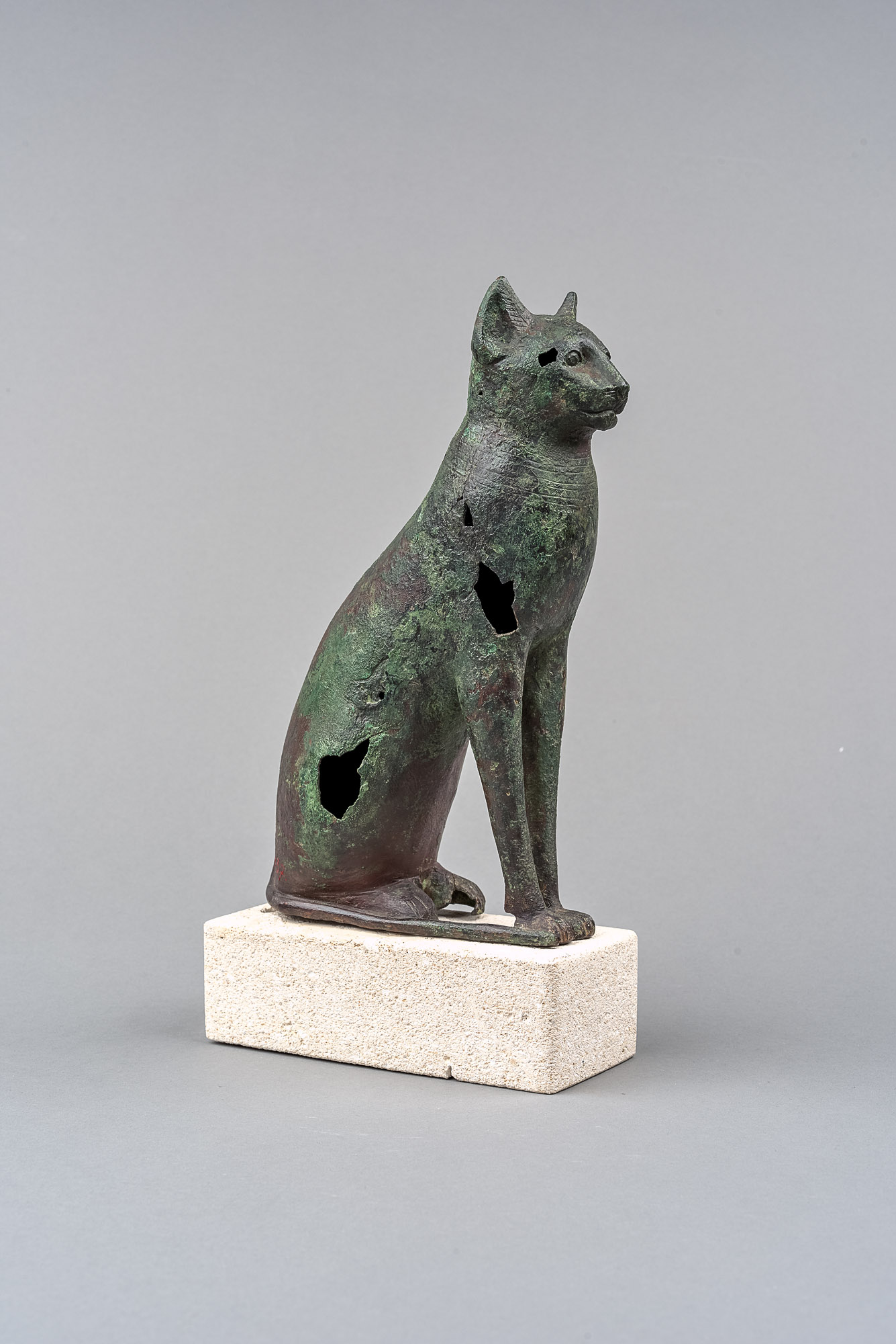 Sitzende Katze