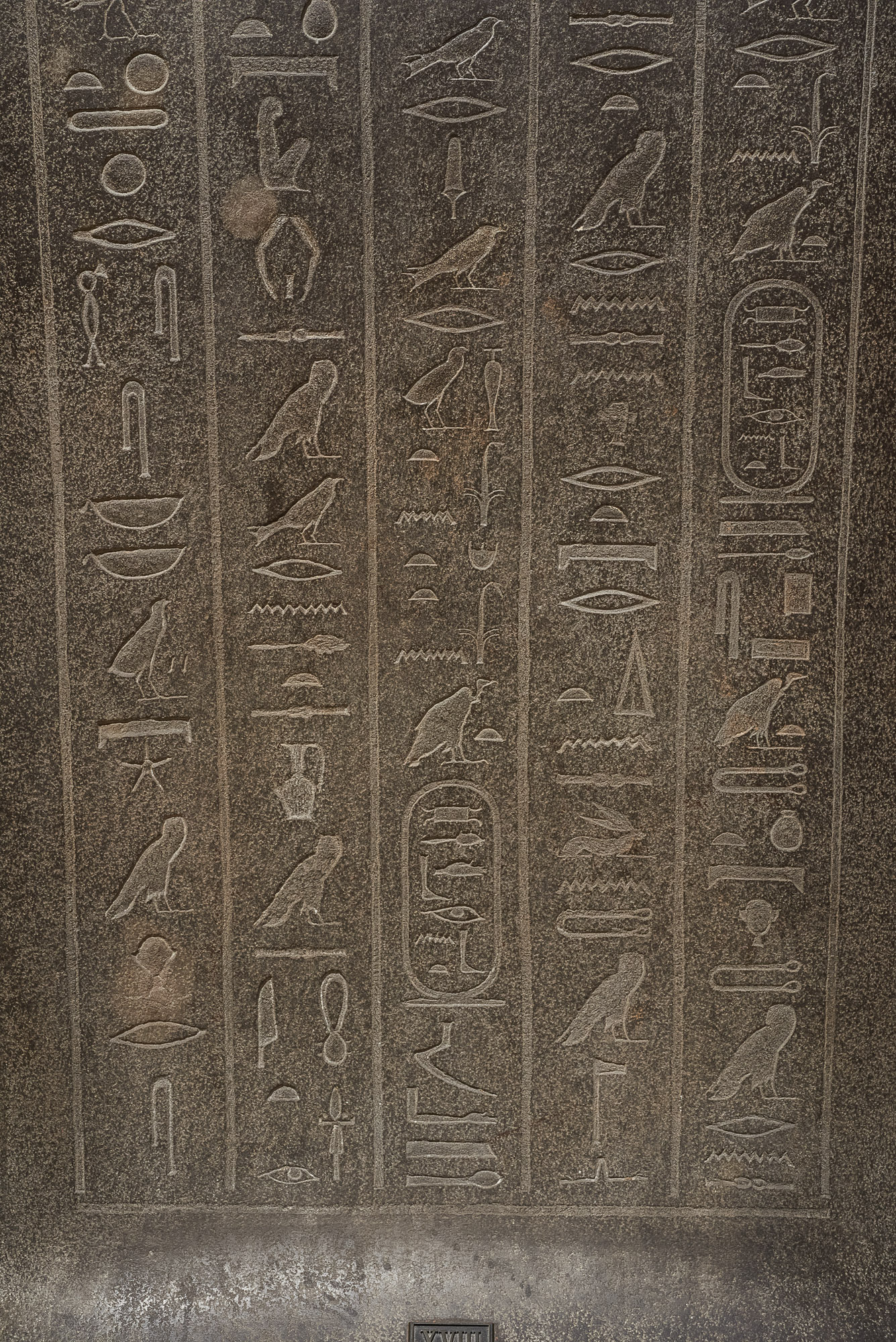 Deckel des Sarkophags der Chedeb-neith-iret-binet