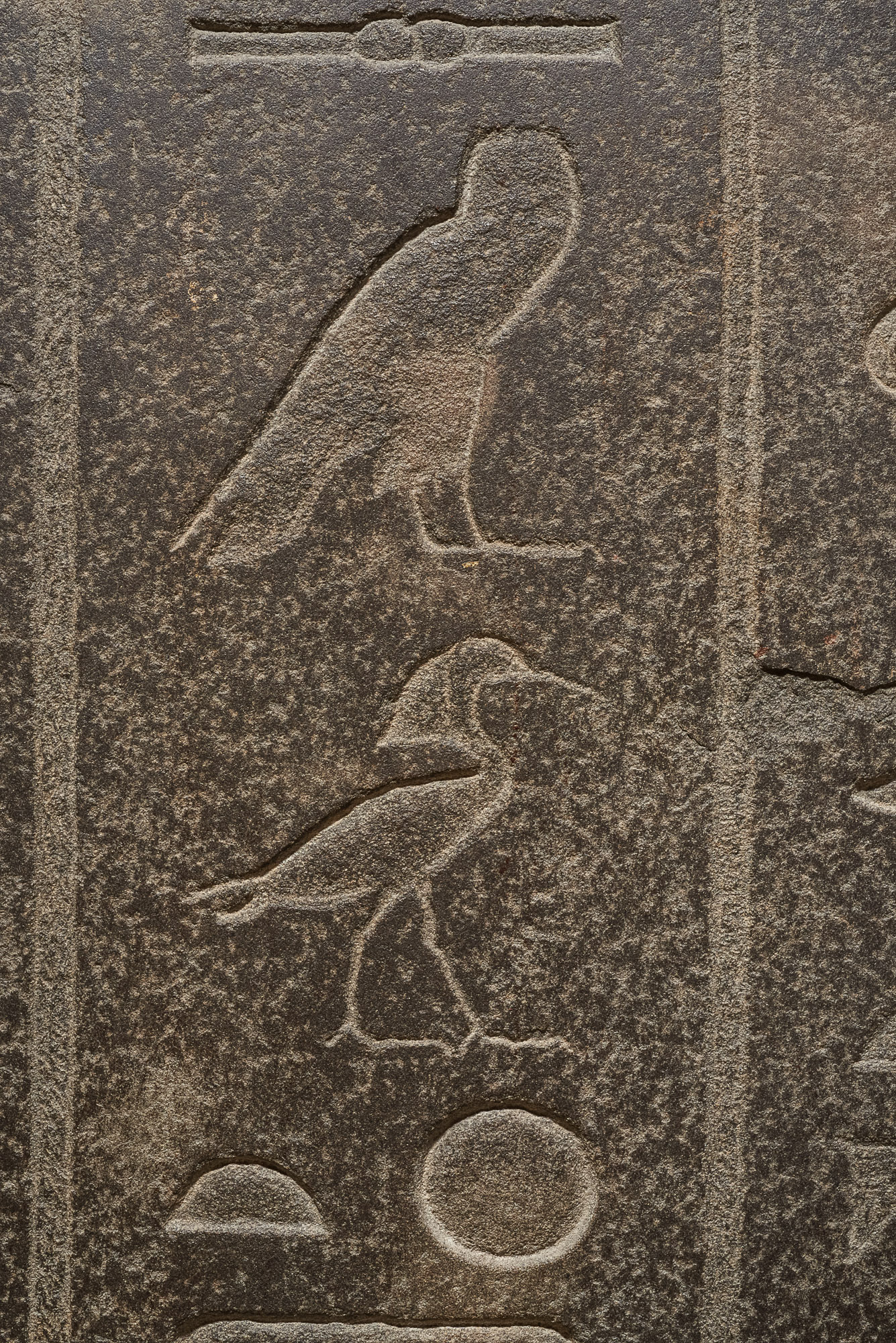 Deckel des Sarkophags der Chedeb-neith-iret-binet