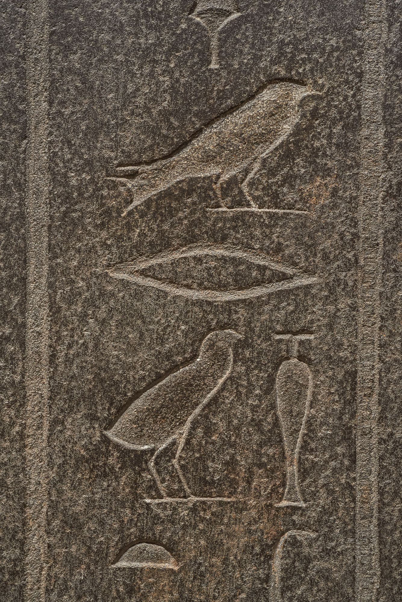 Deckel des Sarkophags der Chedeb-neith-iret-binet