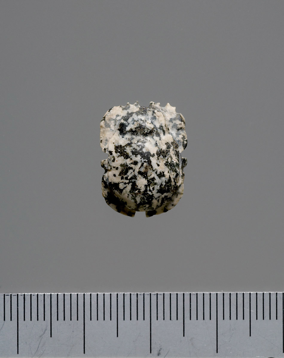 Mumienskarabäus