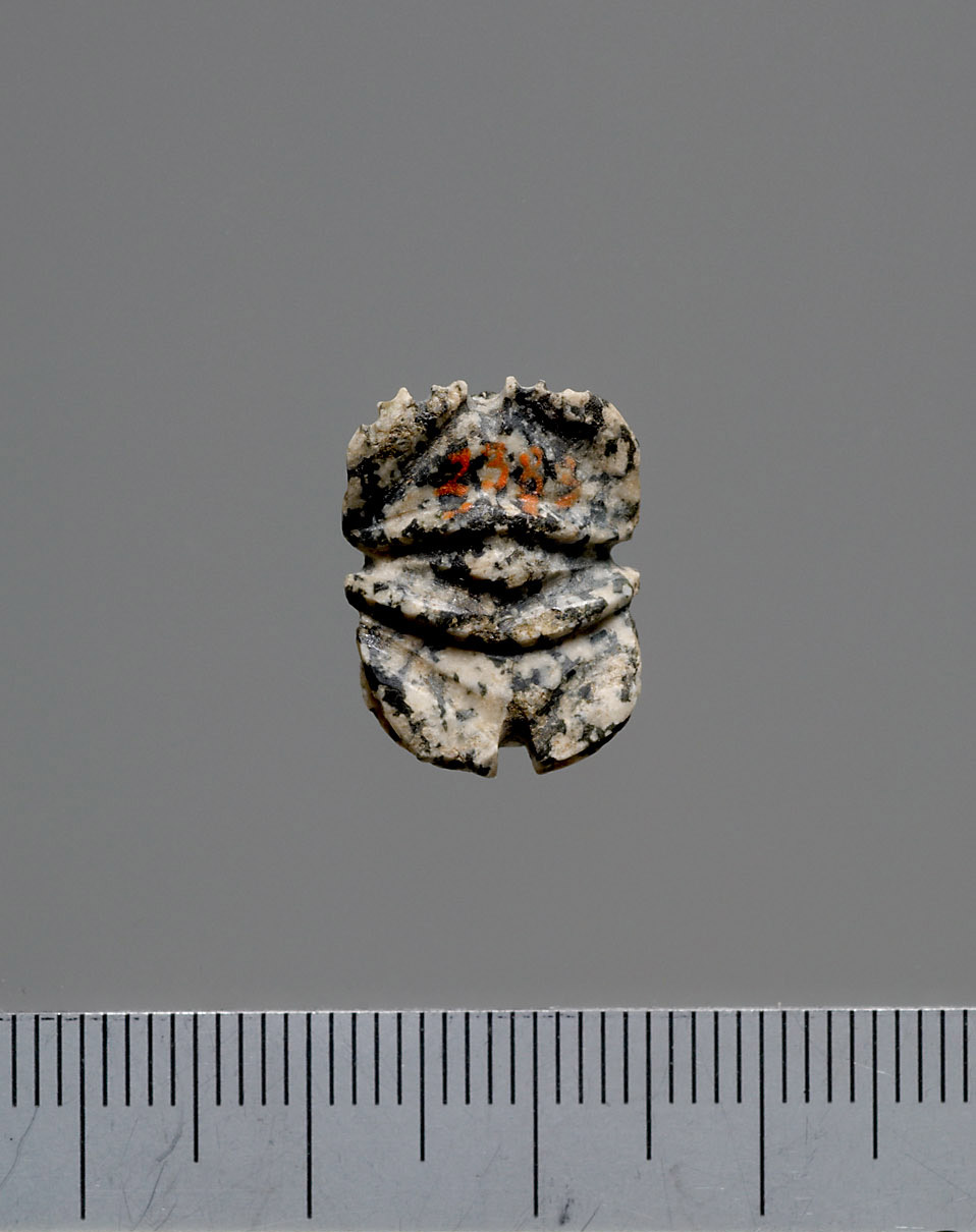 Mumienskarabäus