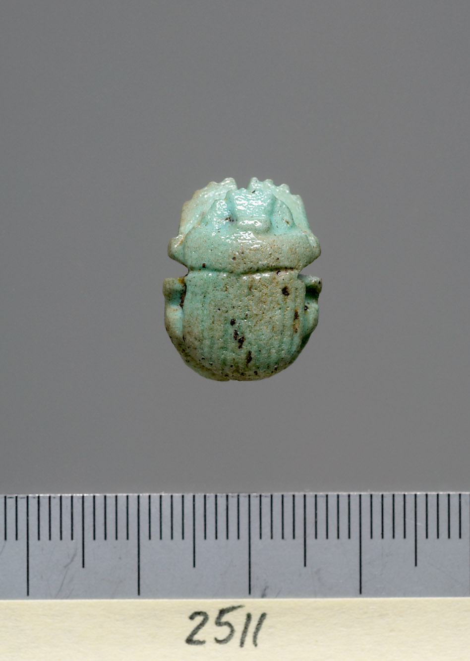 Mumienskarabäus