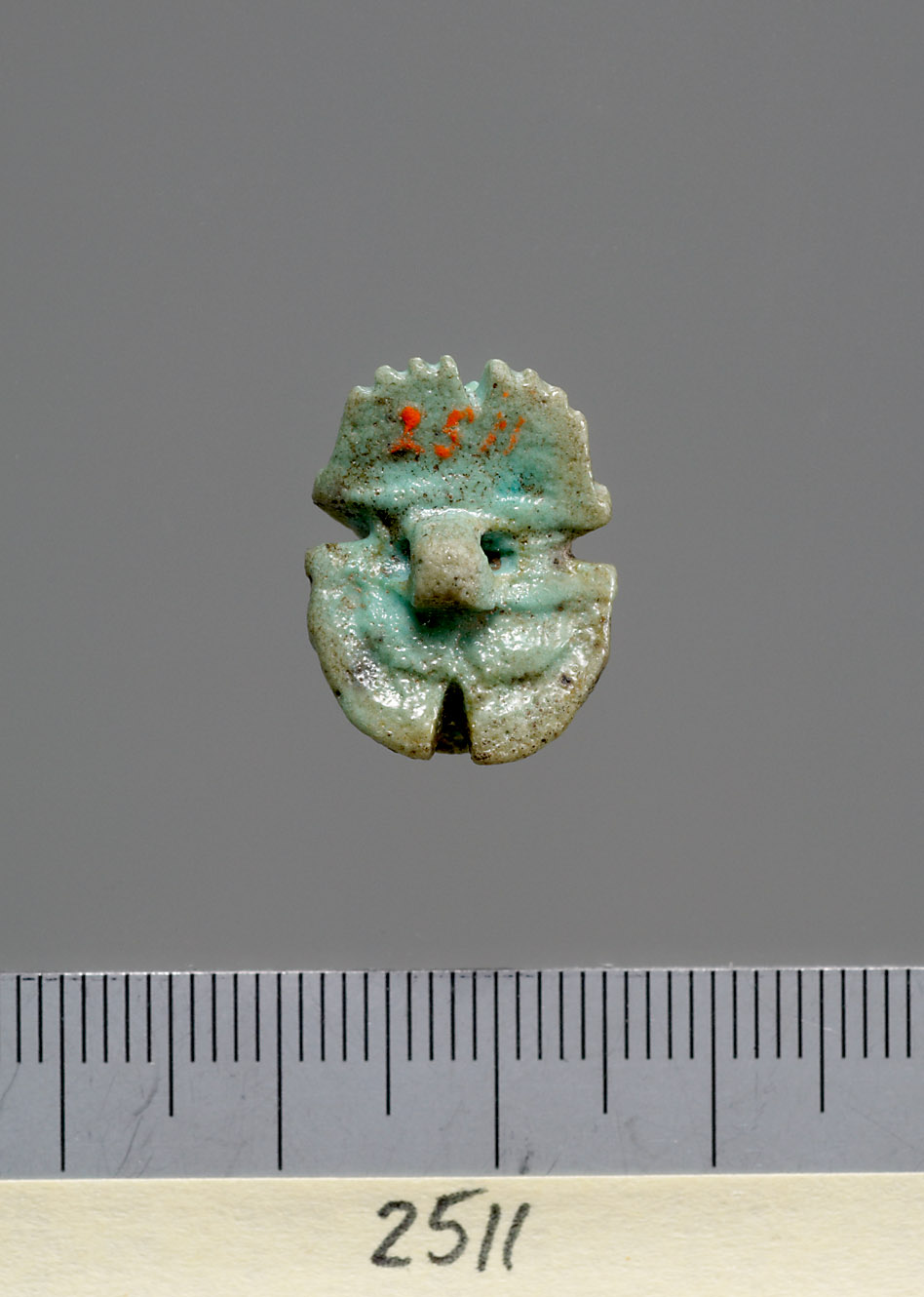 Mumienskarabäus