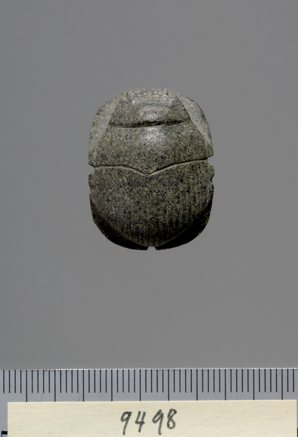 Mumienskarabäus