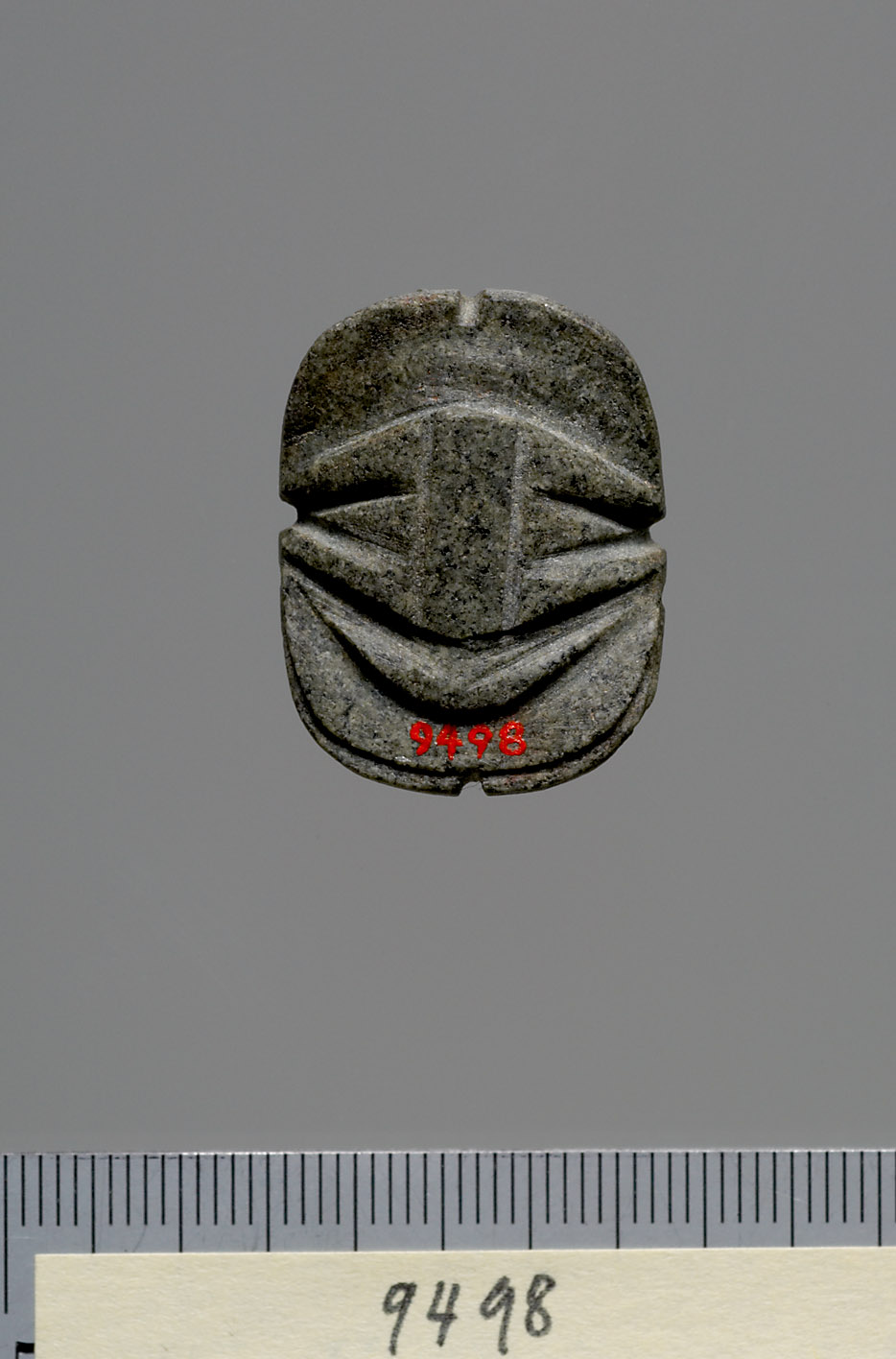 Mumienskarabäus