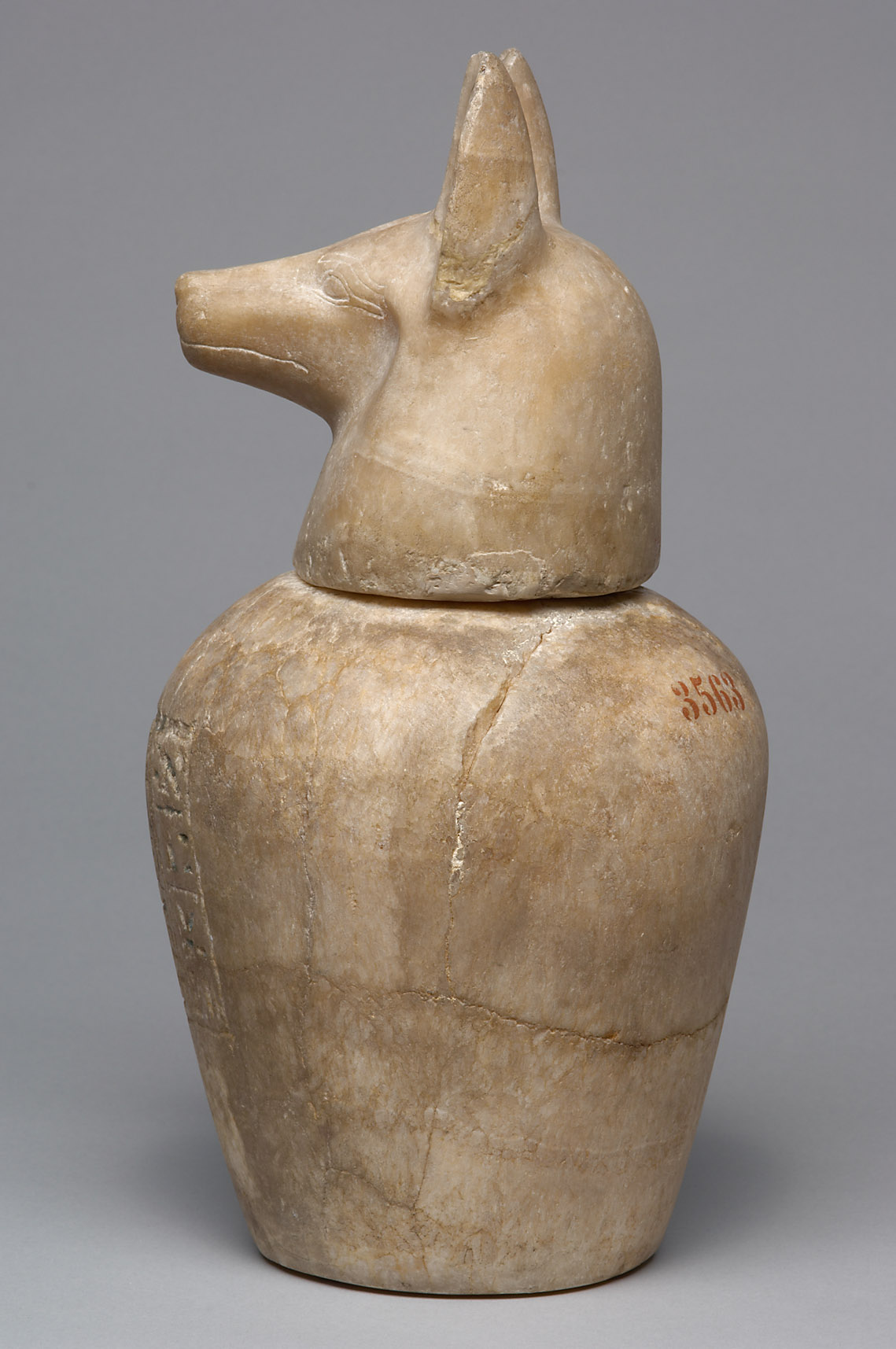 Kanope der Tjes-bastet-peret mit Deckel in Form eines Schakalkopfes