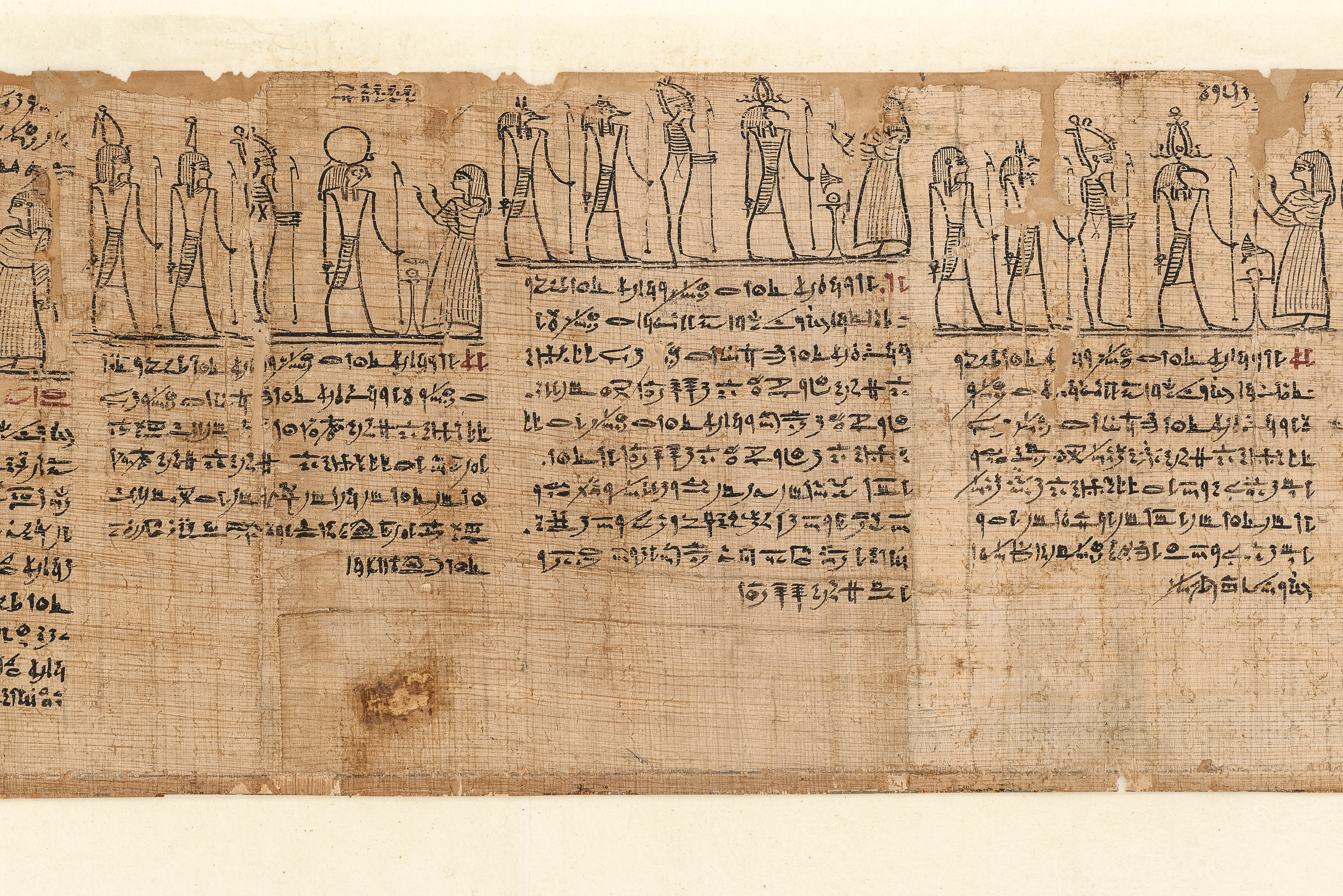 “Papyrus Fontana” – Book of the Dead for Chaa-es-en-aset