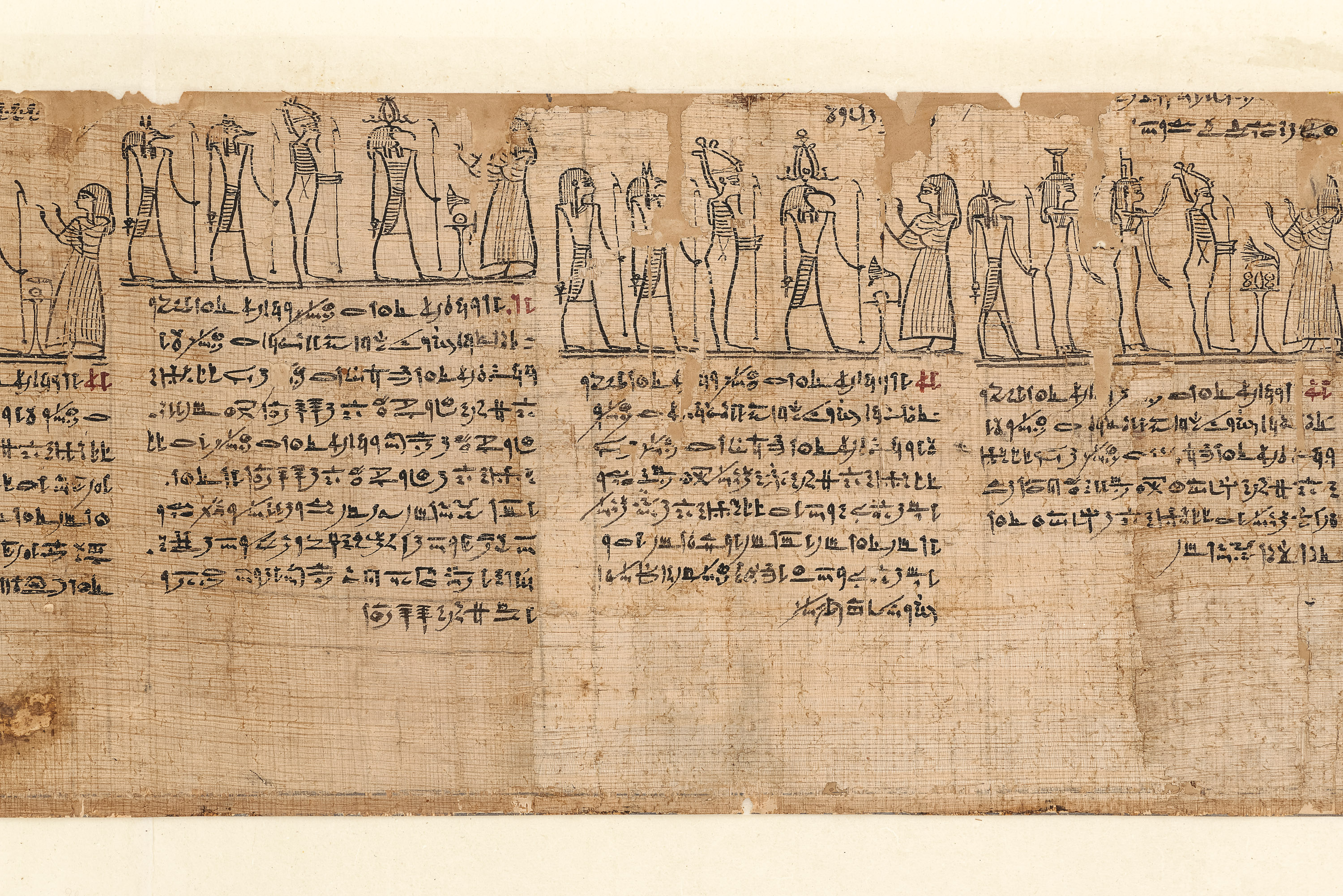 “Papyrus Fontana” – Book of the Dead for Chaa-es-en-aset