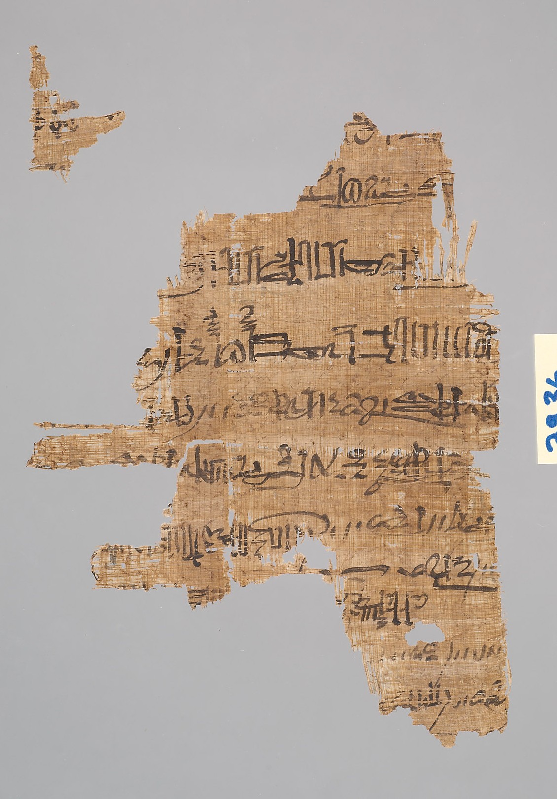 Protokoll Ramses' III.