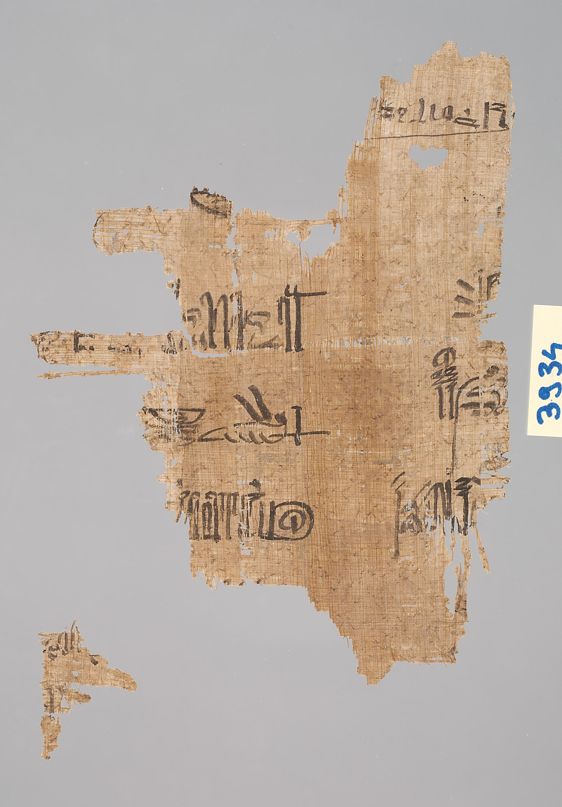 Protokoll Ramses' III.
