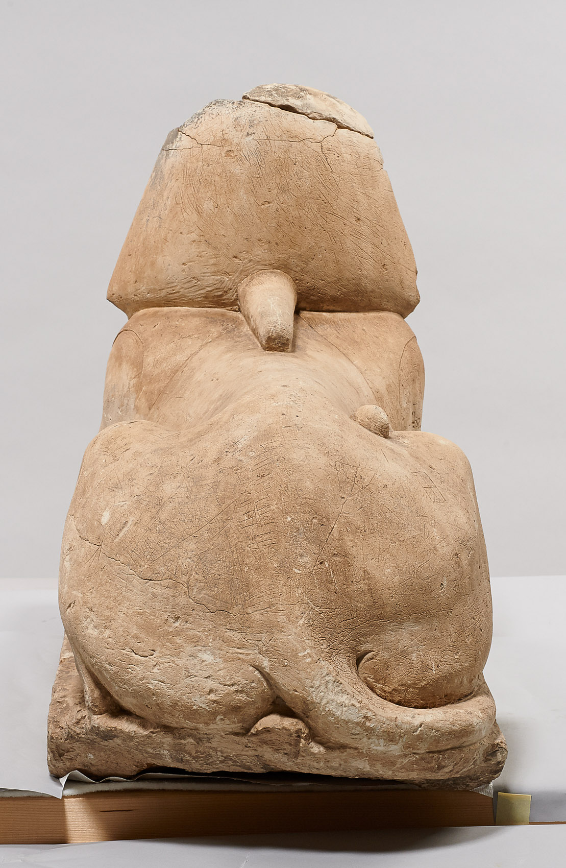 Serapeumssphinx