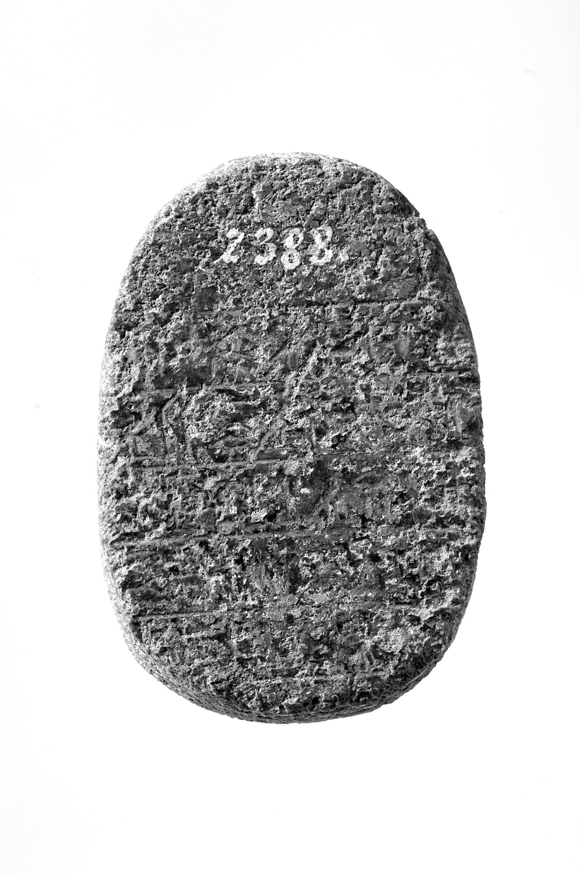 Herzskarabäus