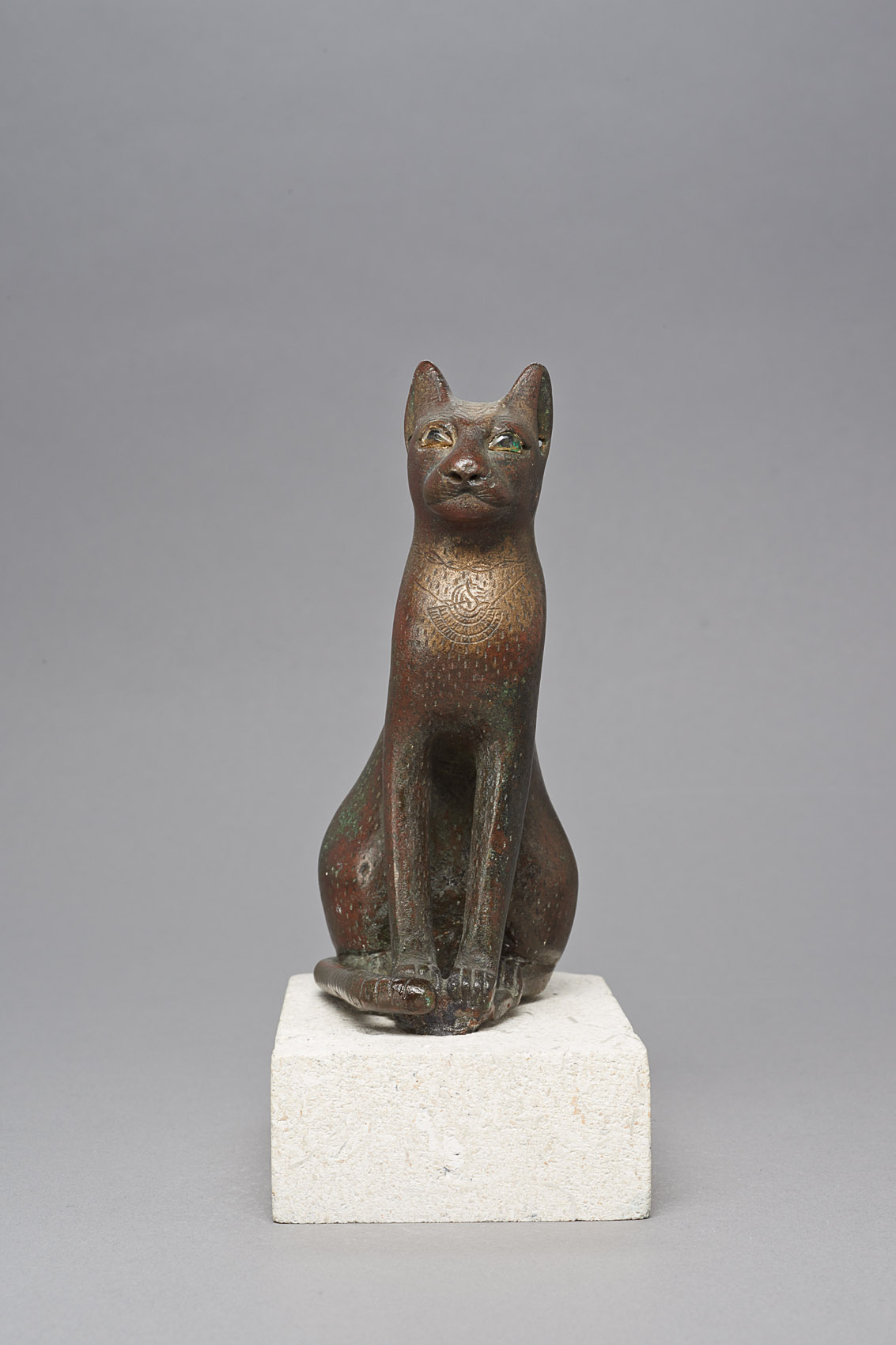 Sitzende Katze